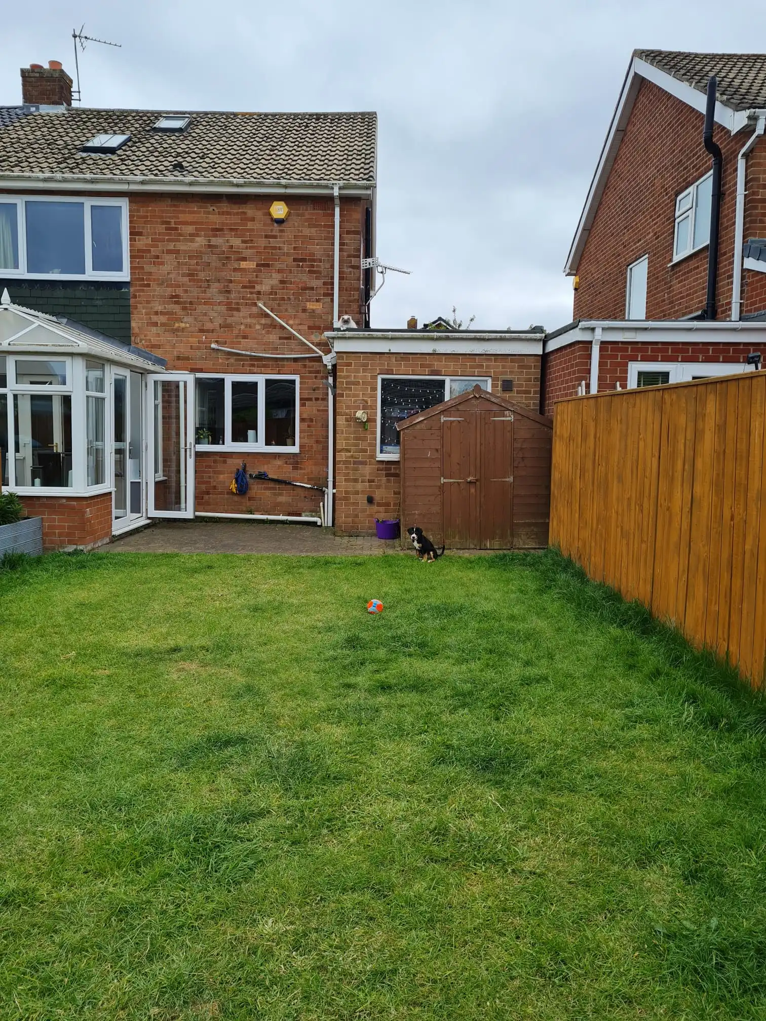 image-13