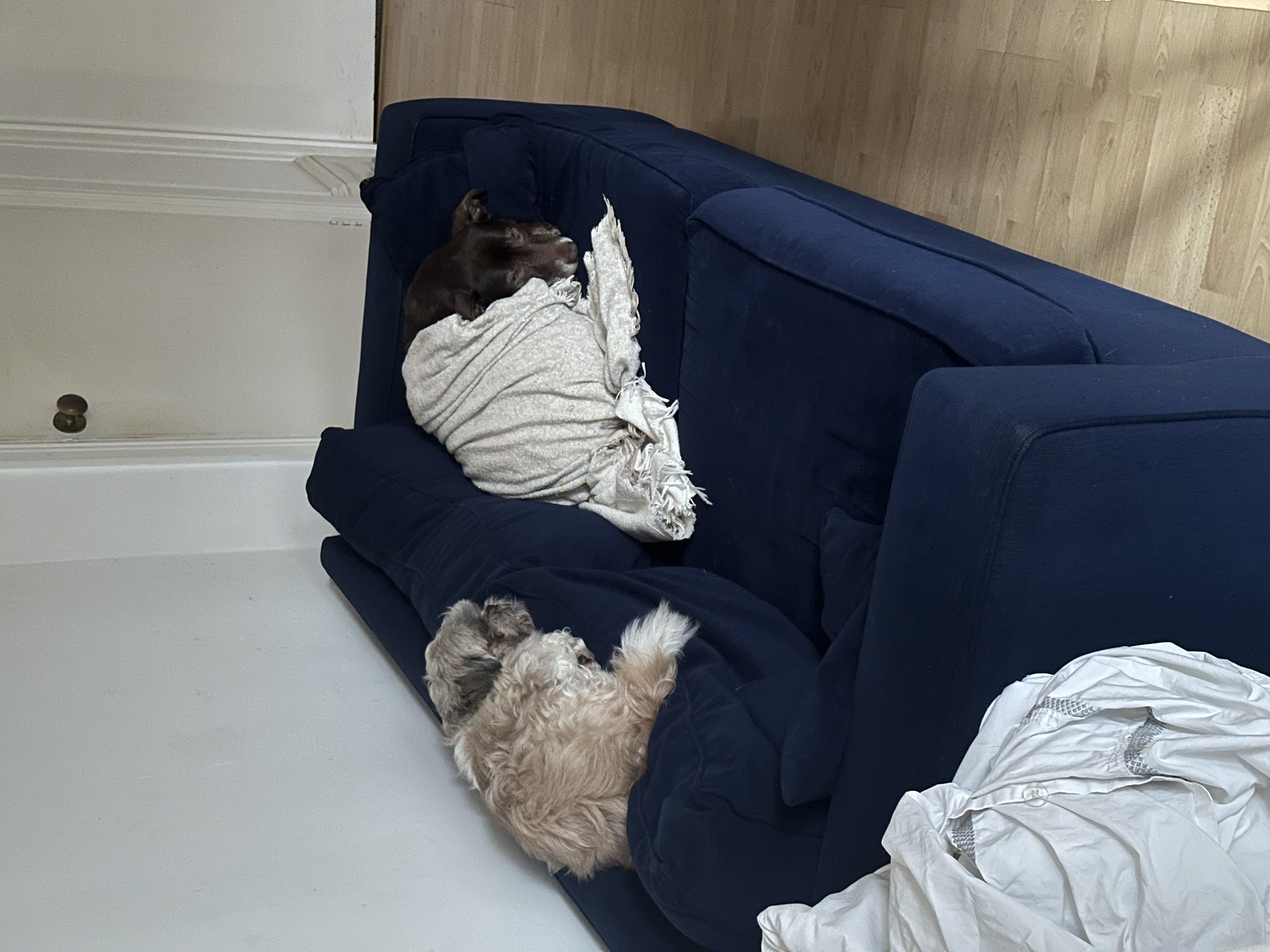 image-6