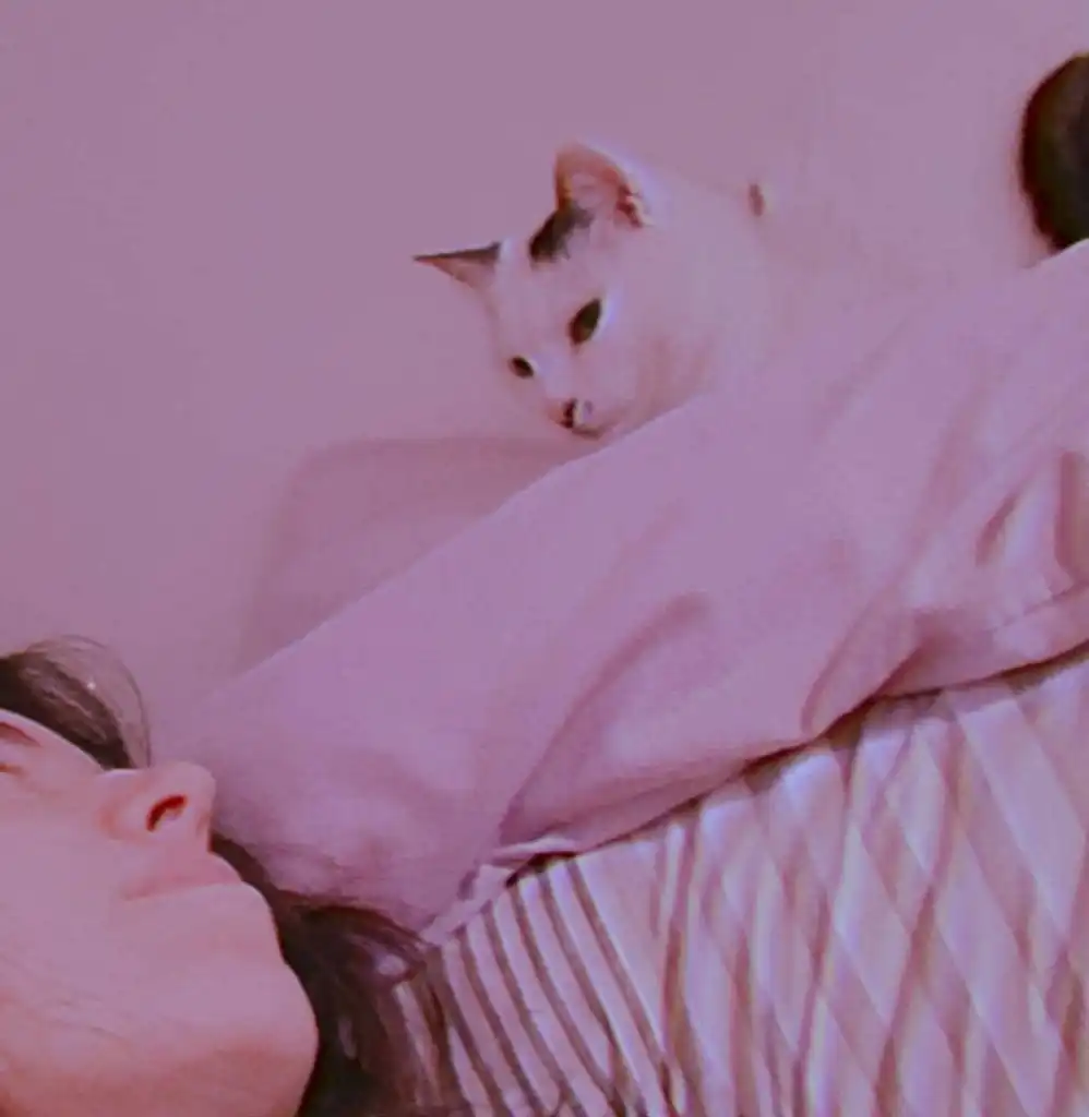 image-7