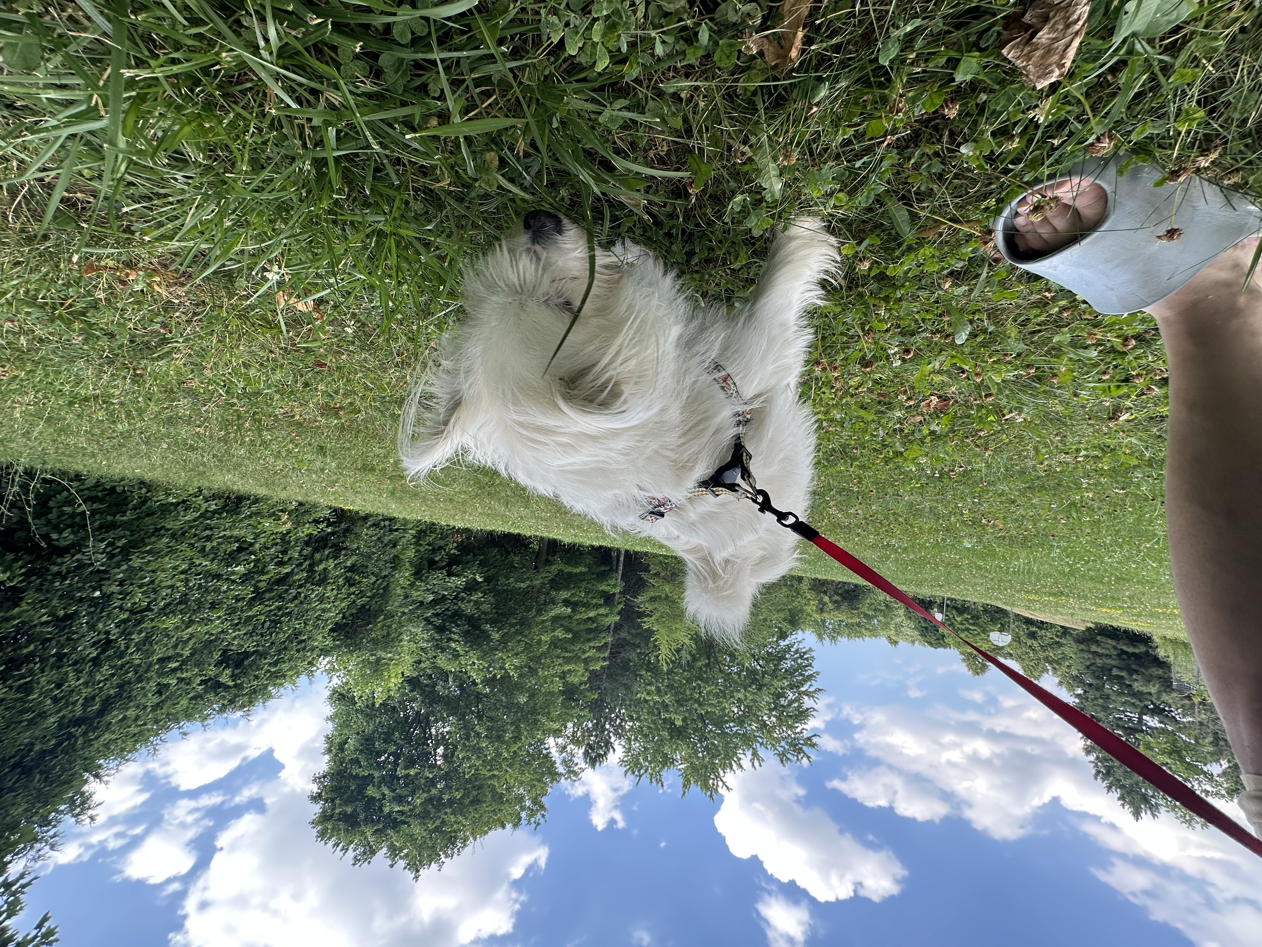 image-9