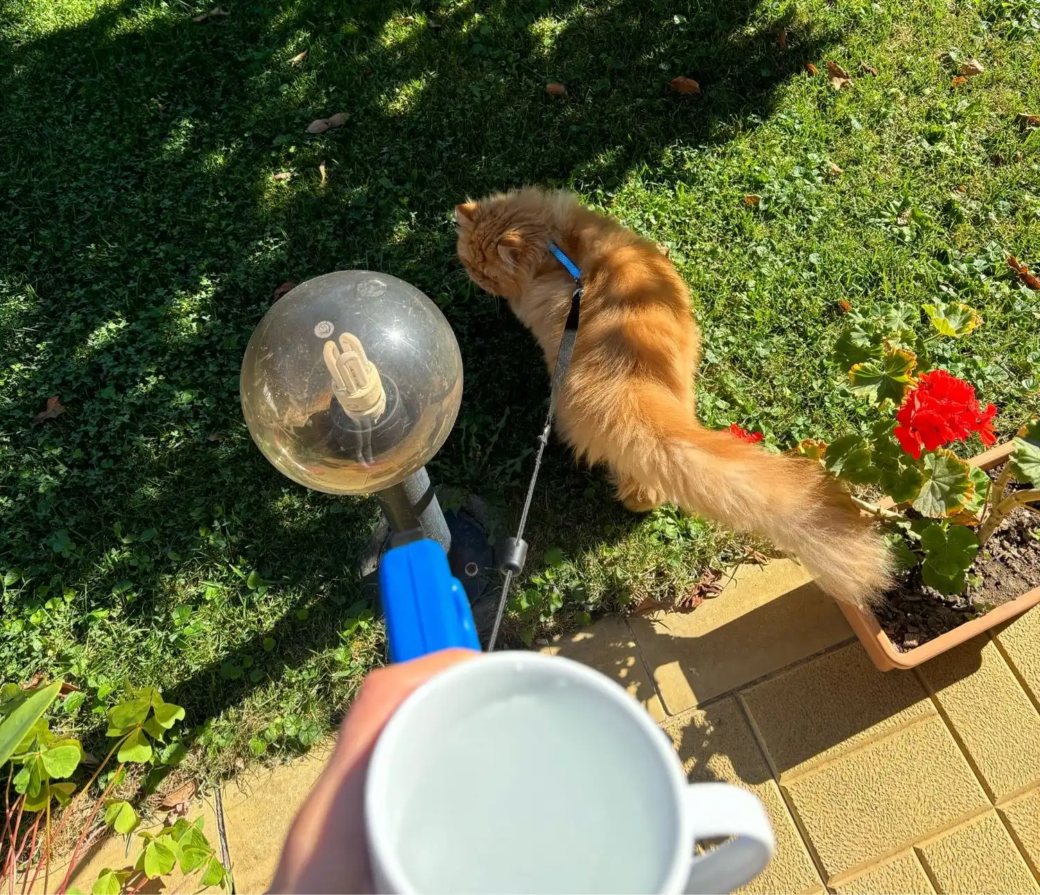 image-11