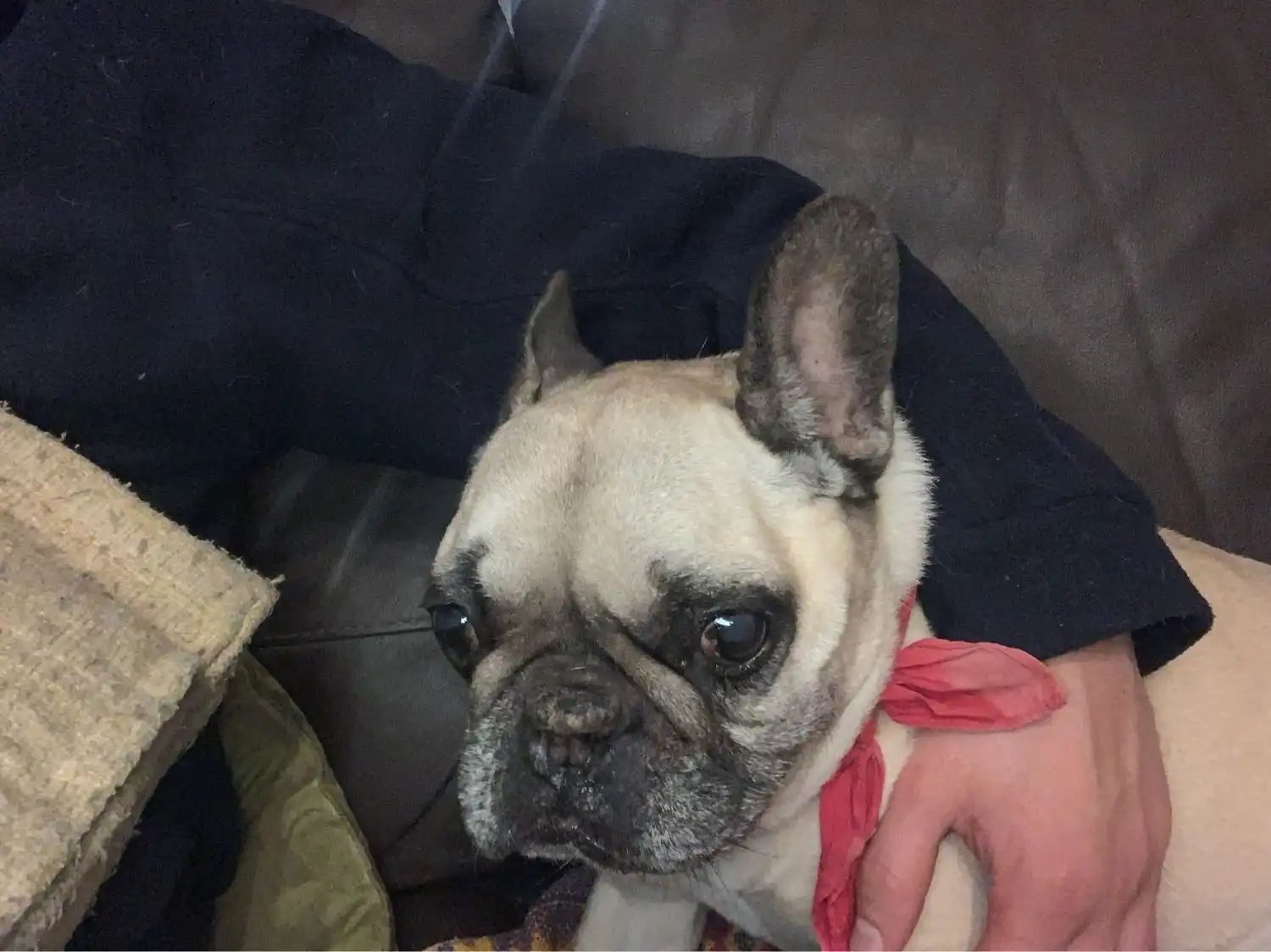 image-7