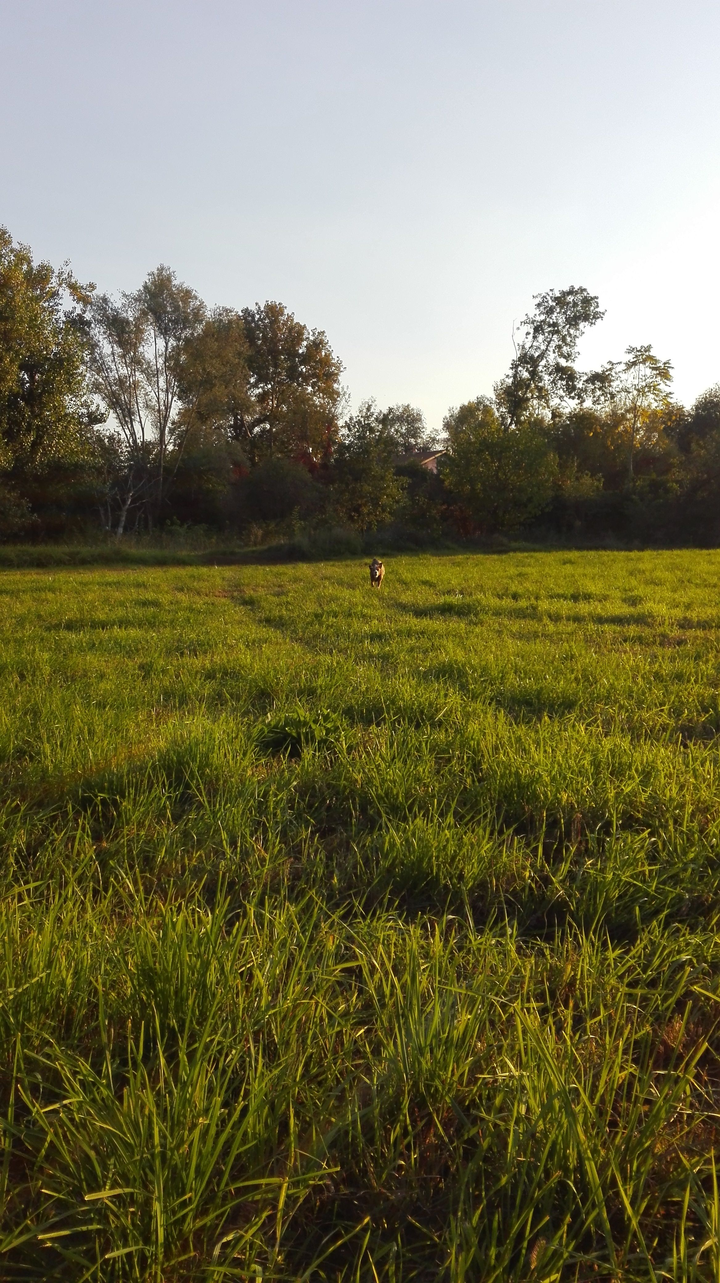 image-8