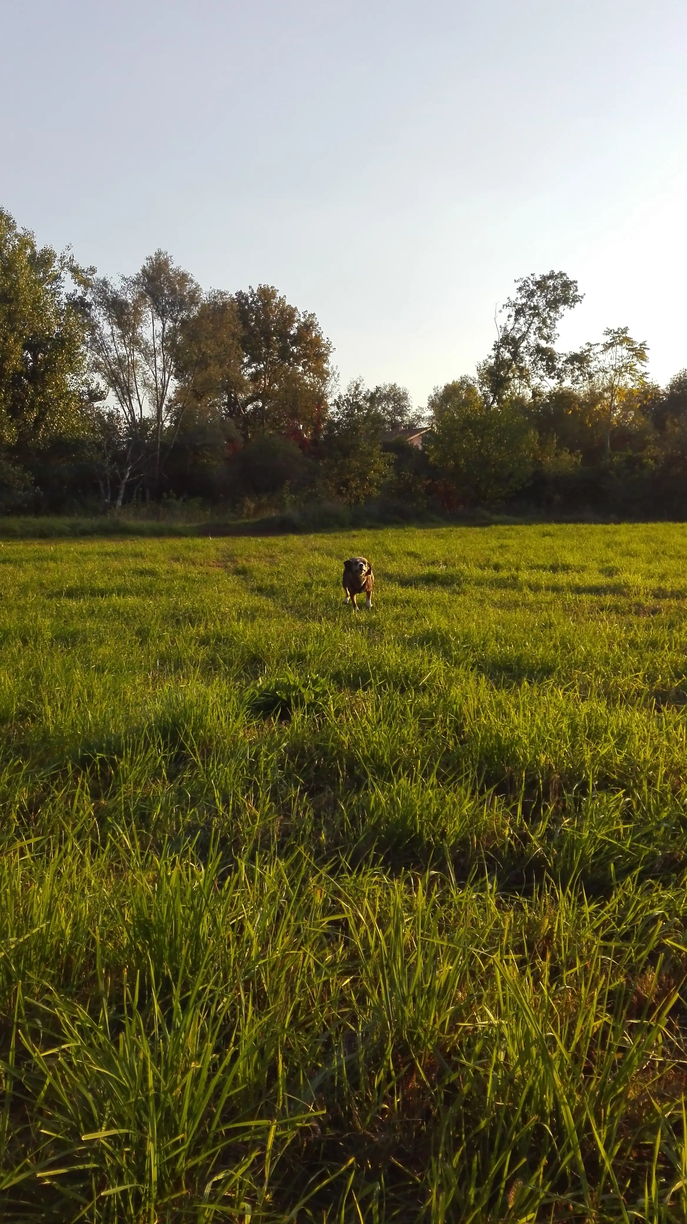 image-9