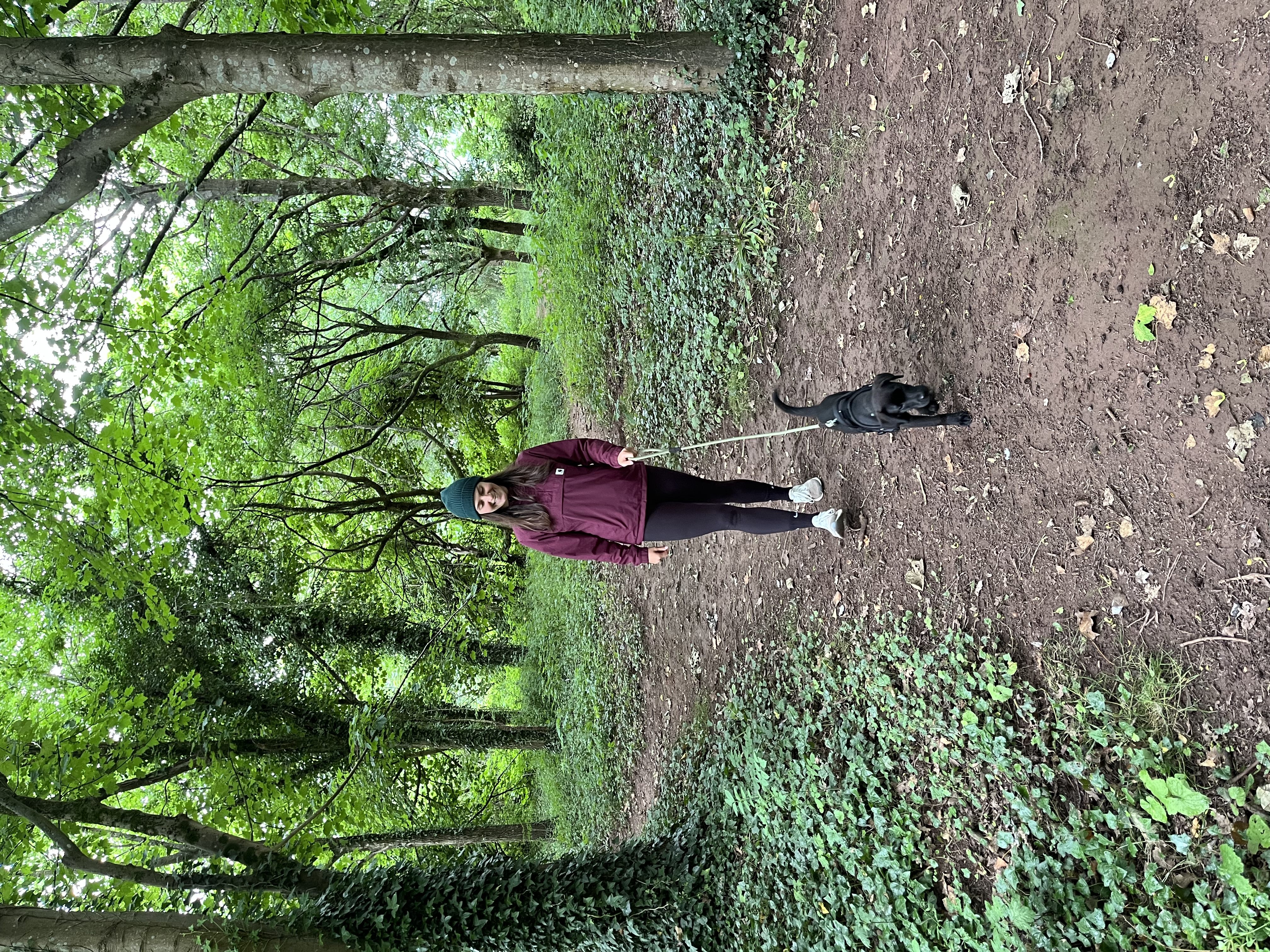 image-4