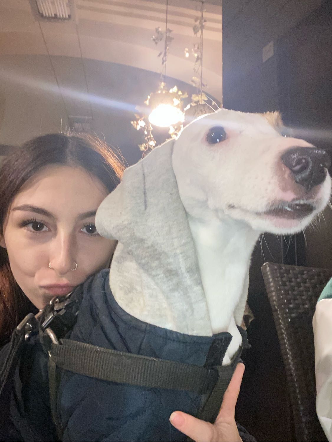 image-6