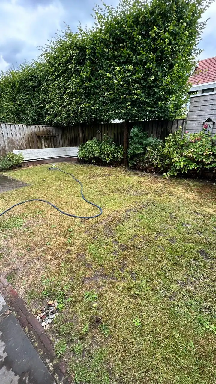 image-15