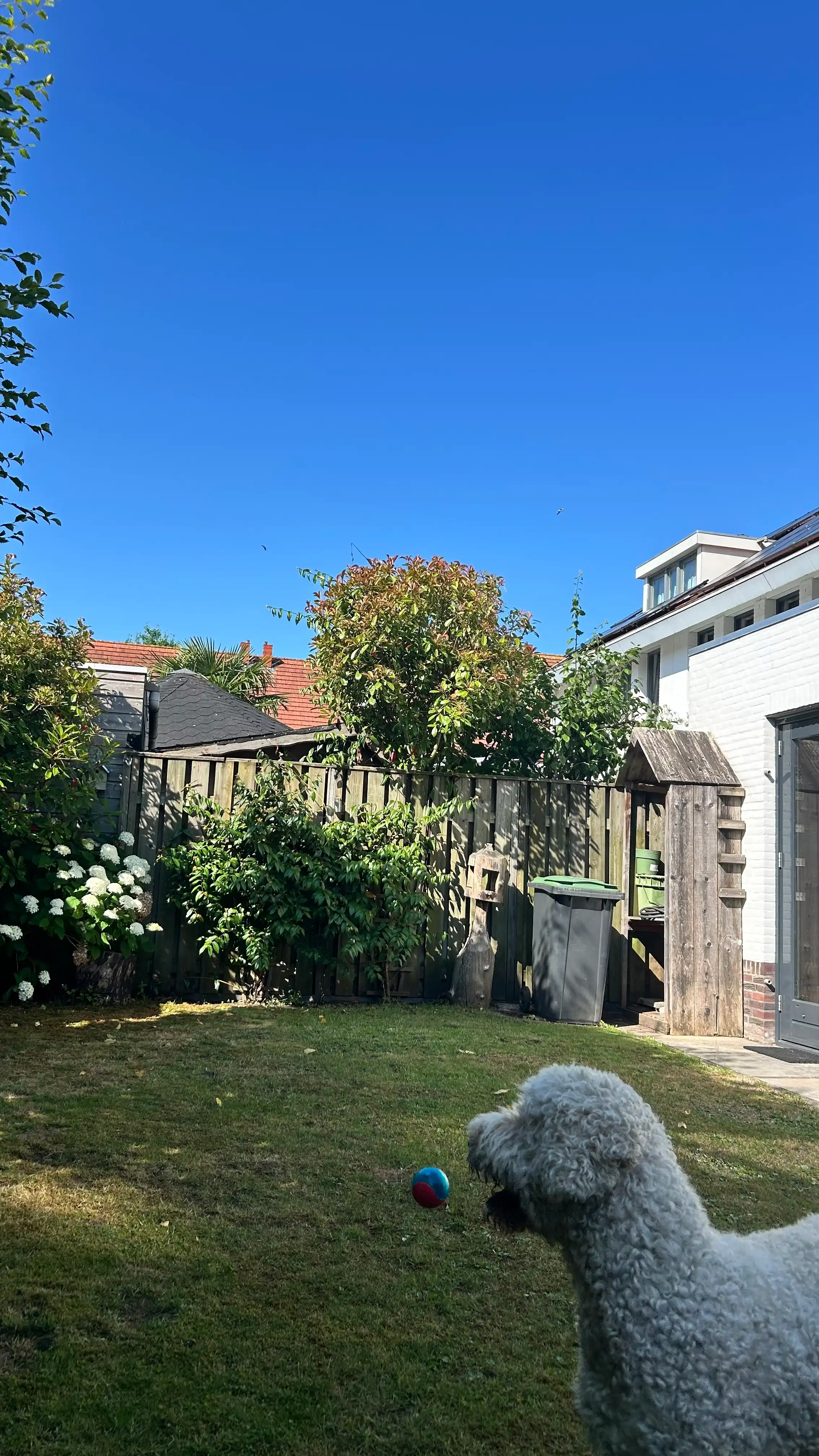 image-19