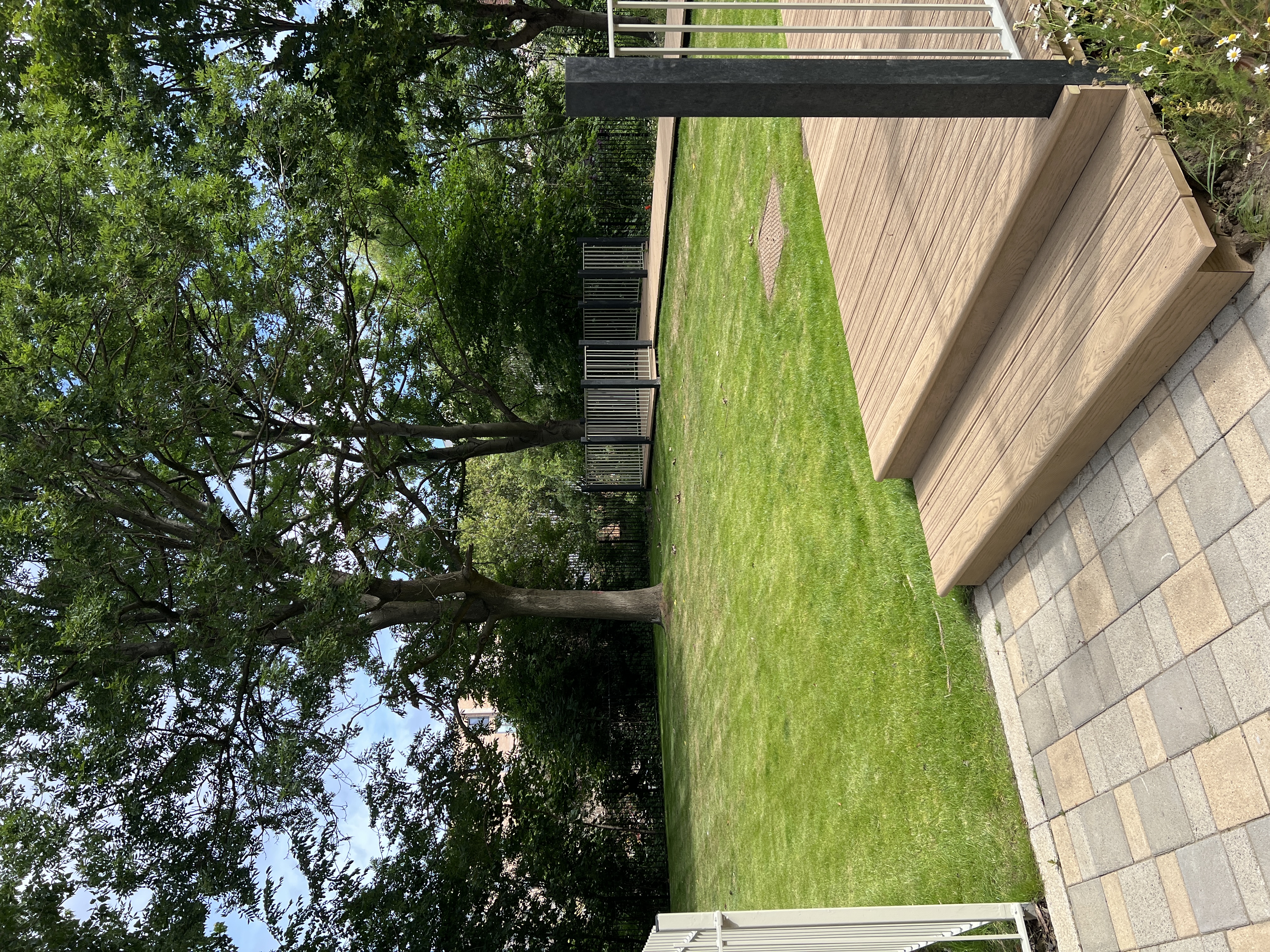 image-16