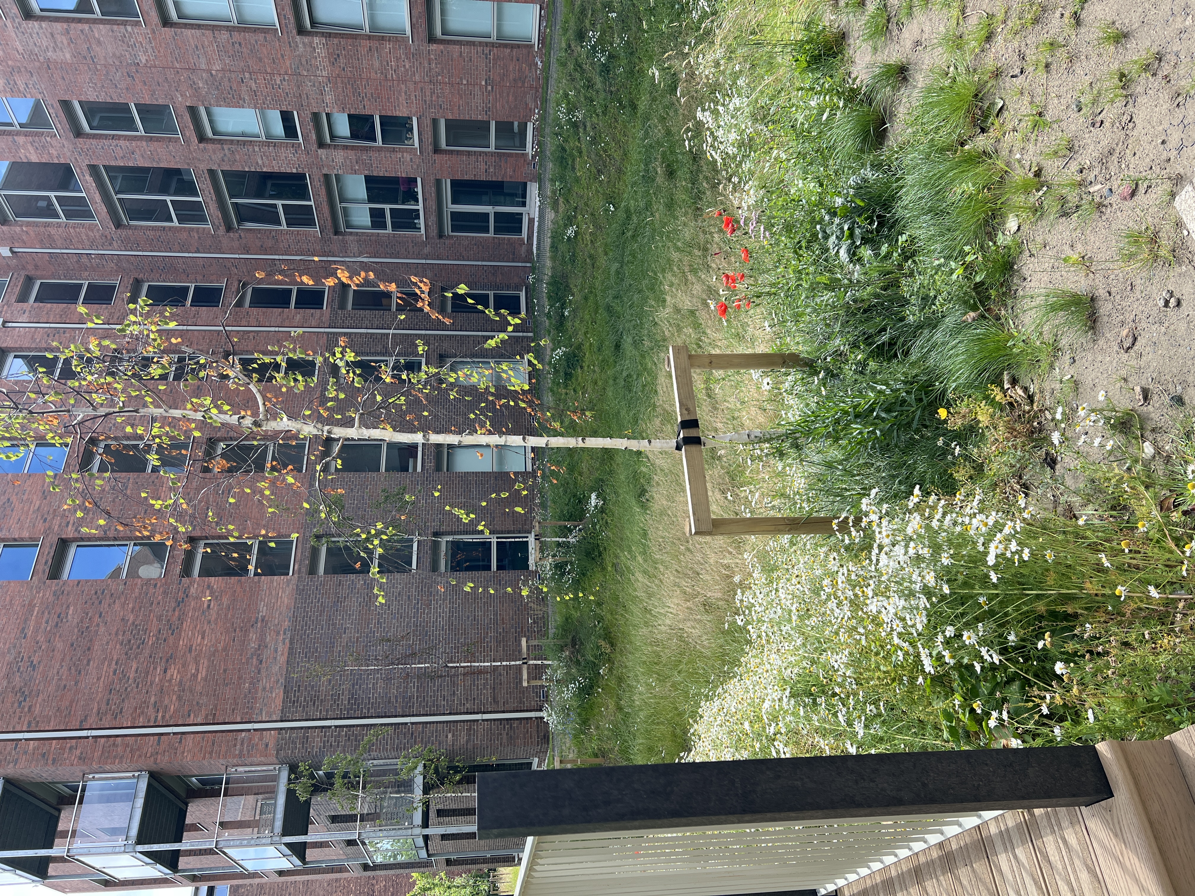 image-18