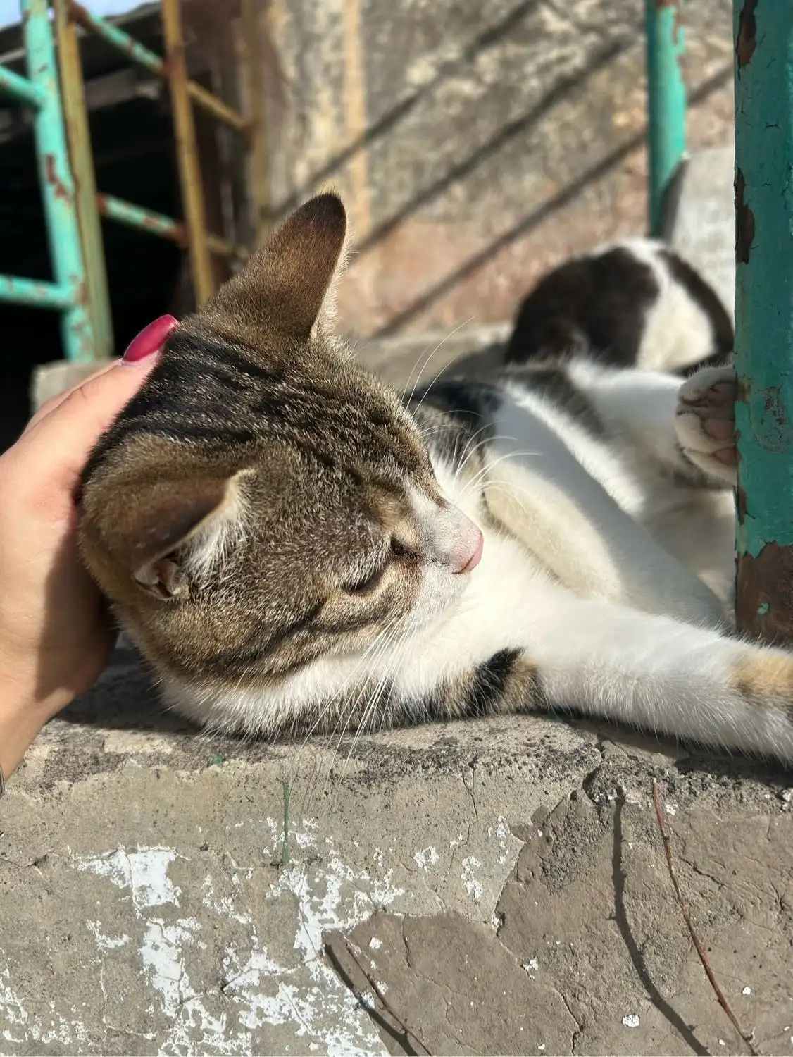 image-7