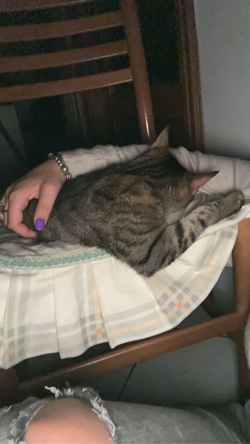 image-6
