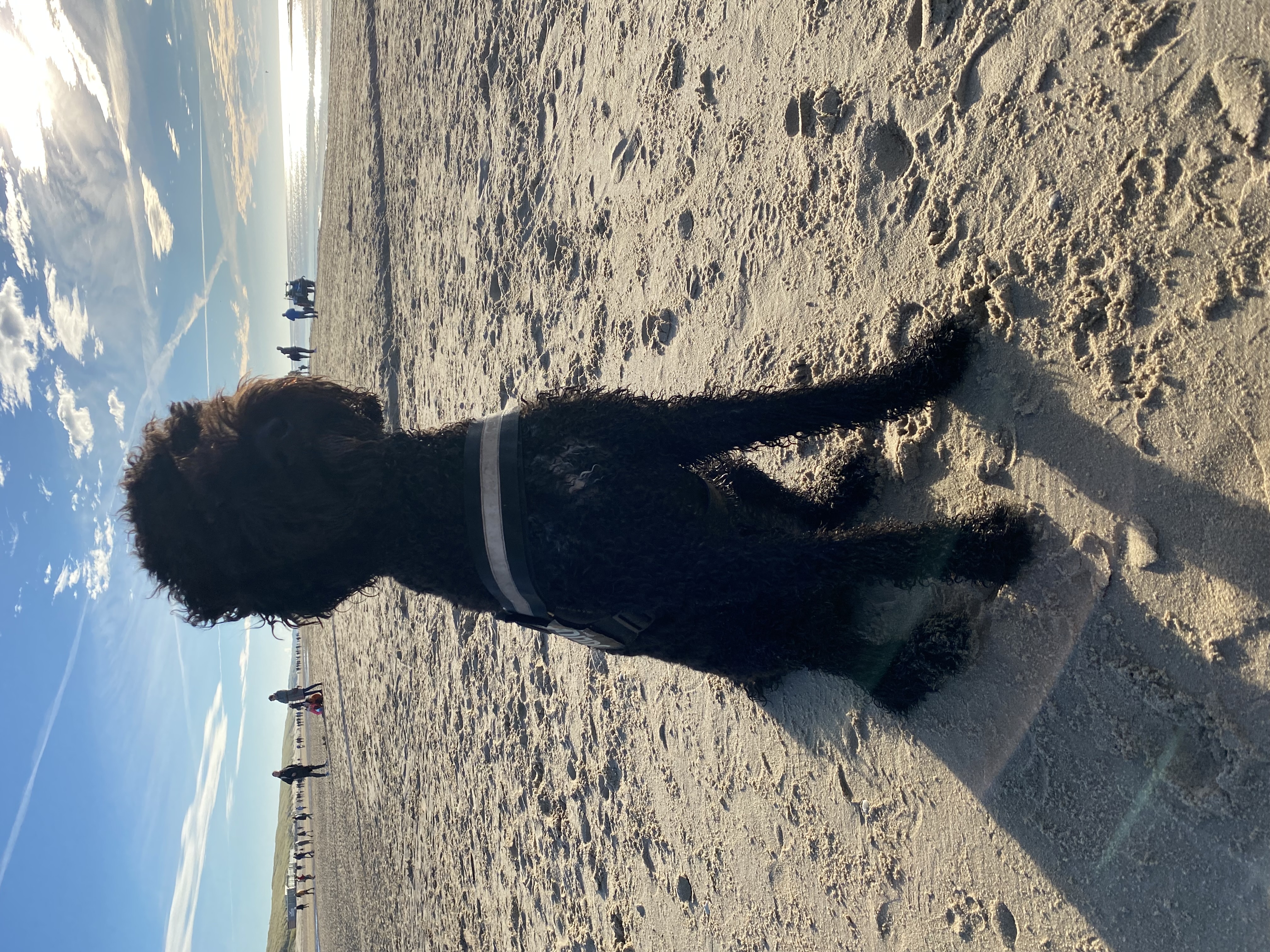 image-8