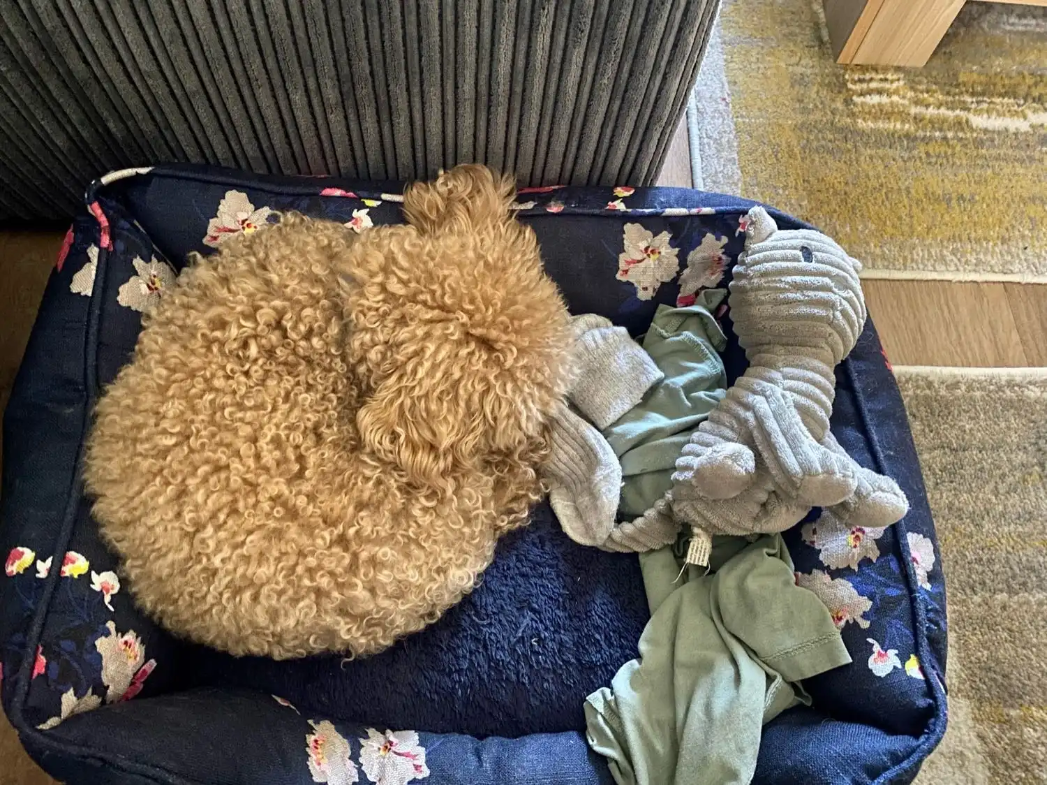 image-8