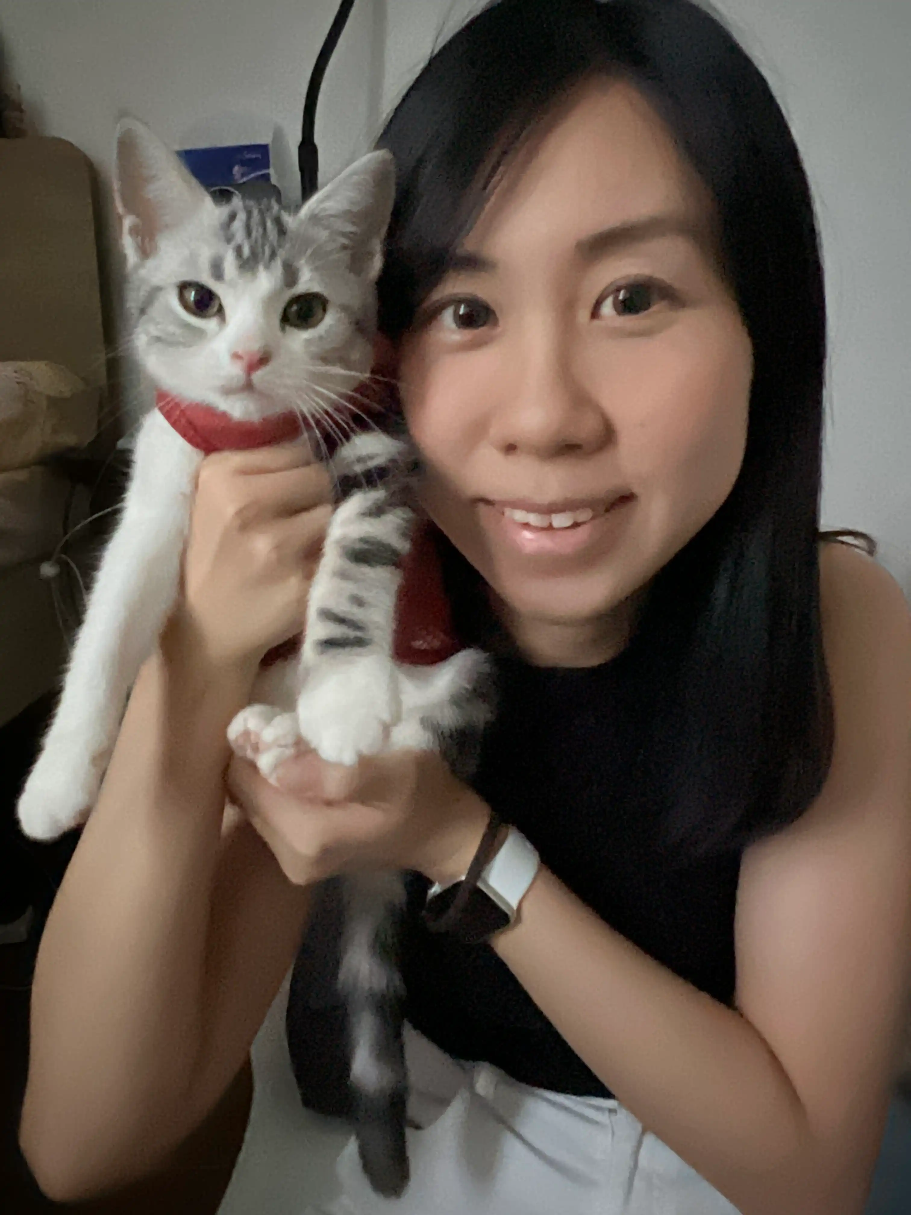 image-6