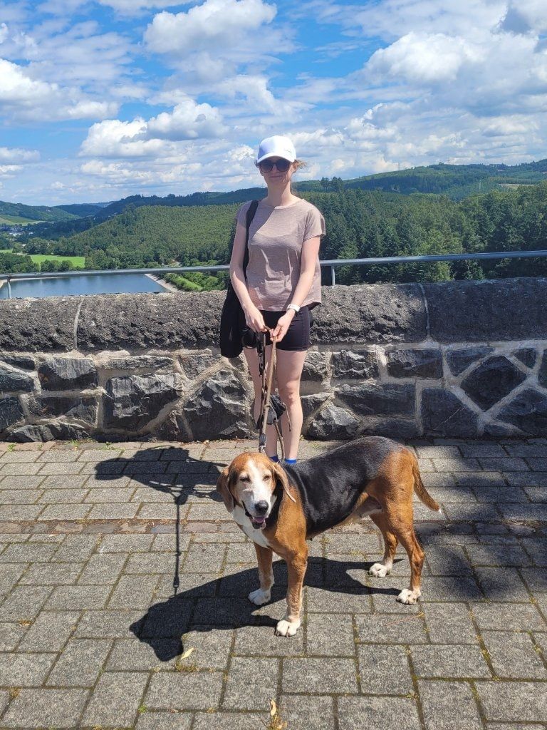 image-2