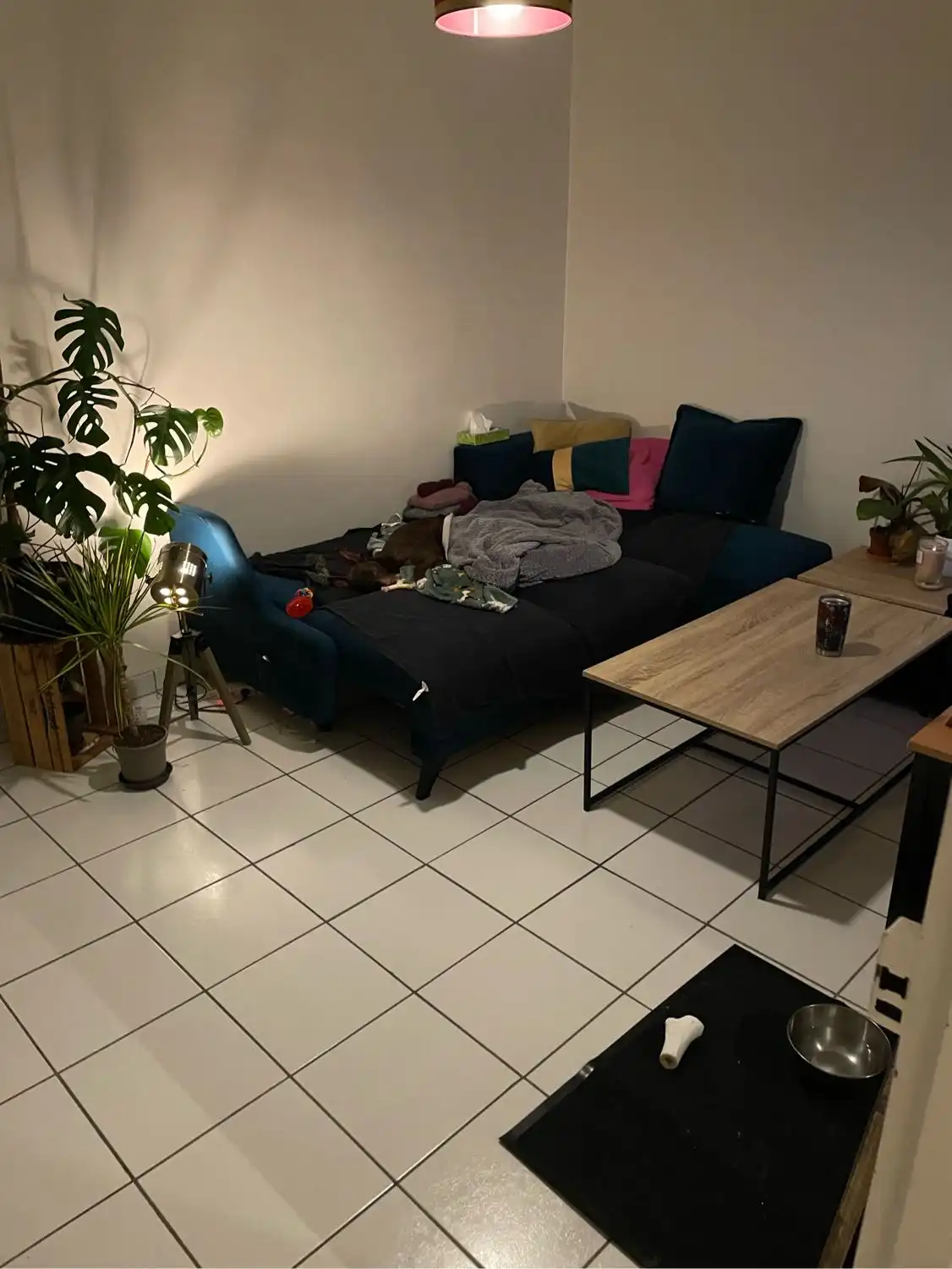 image-14