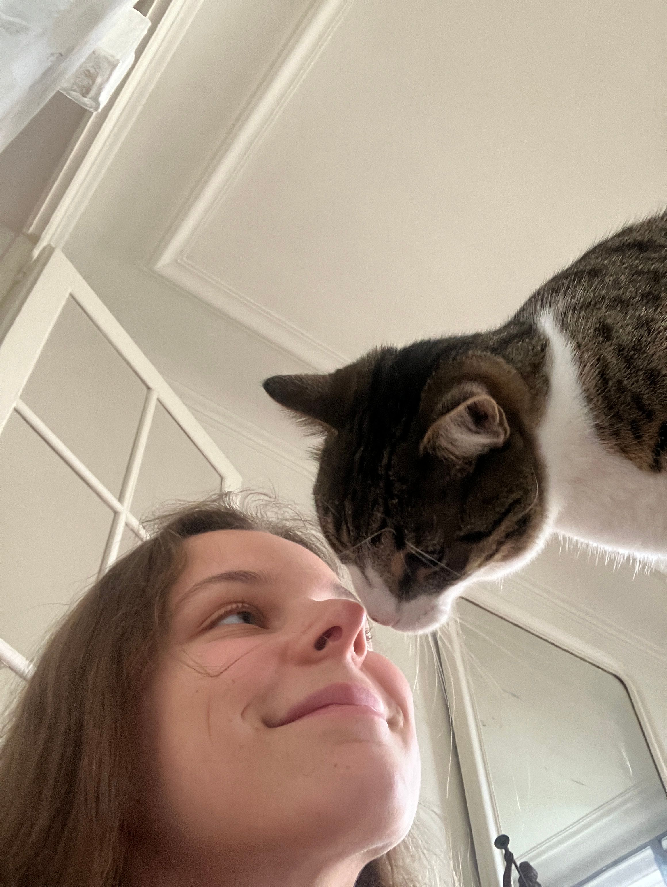 image-11