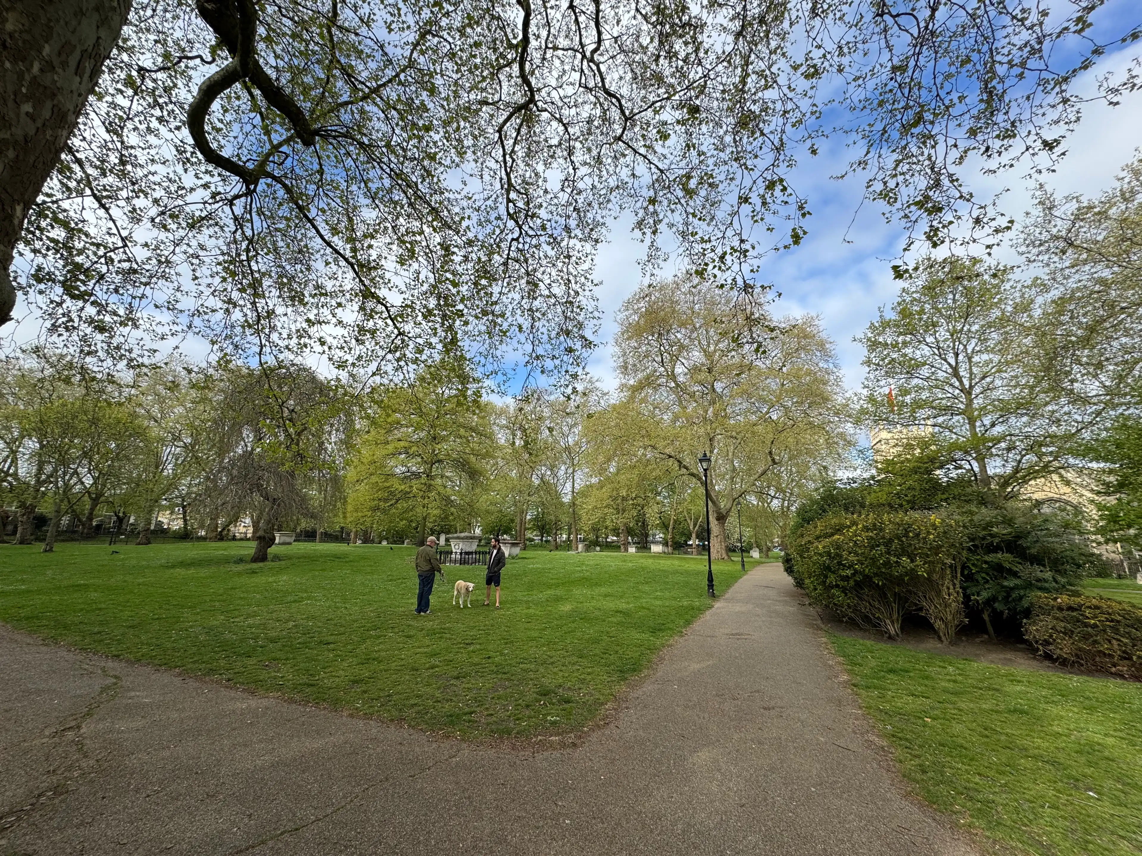 image-37