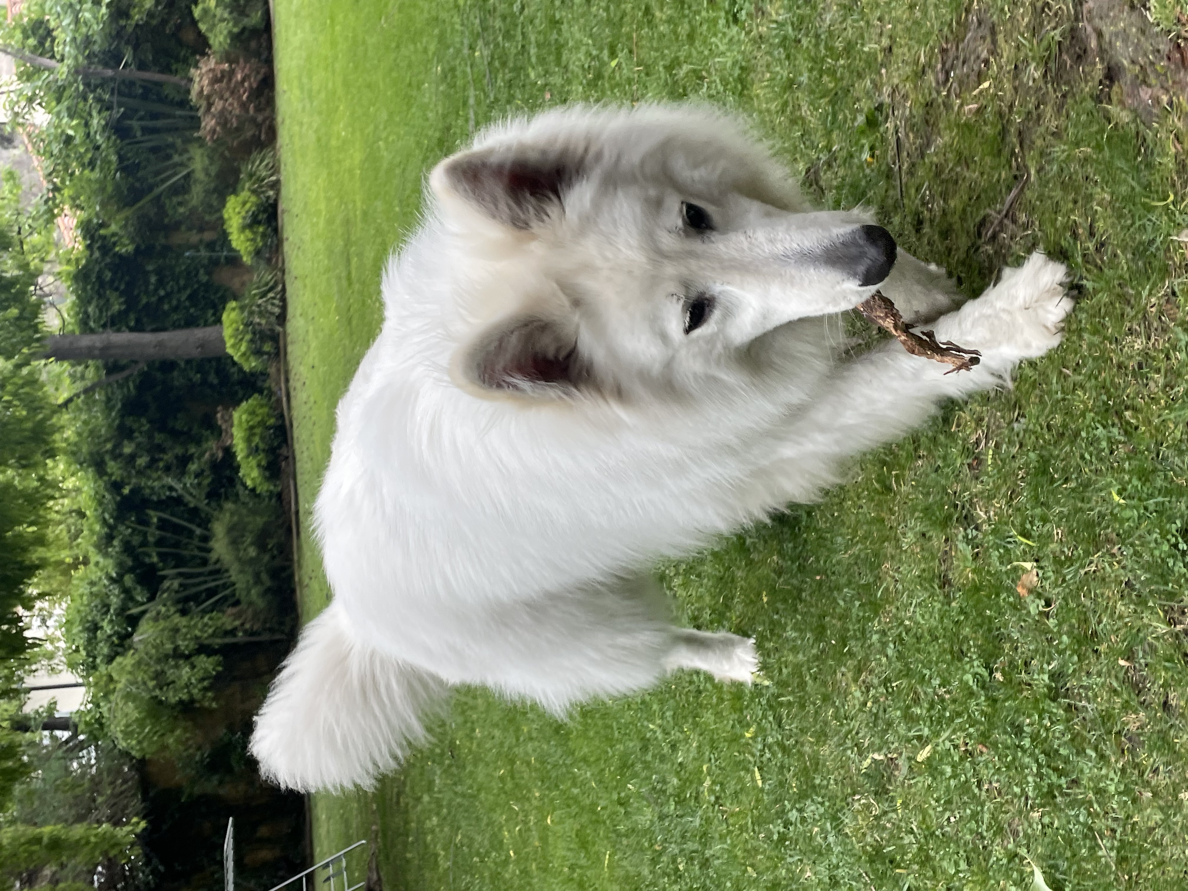 image-8