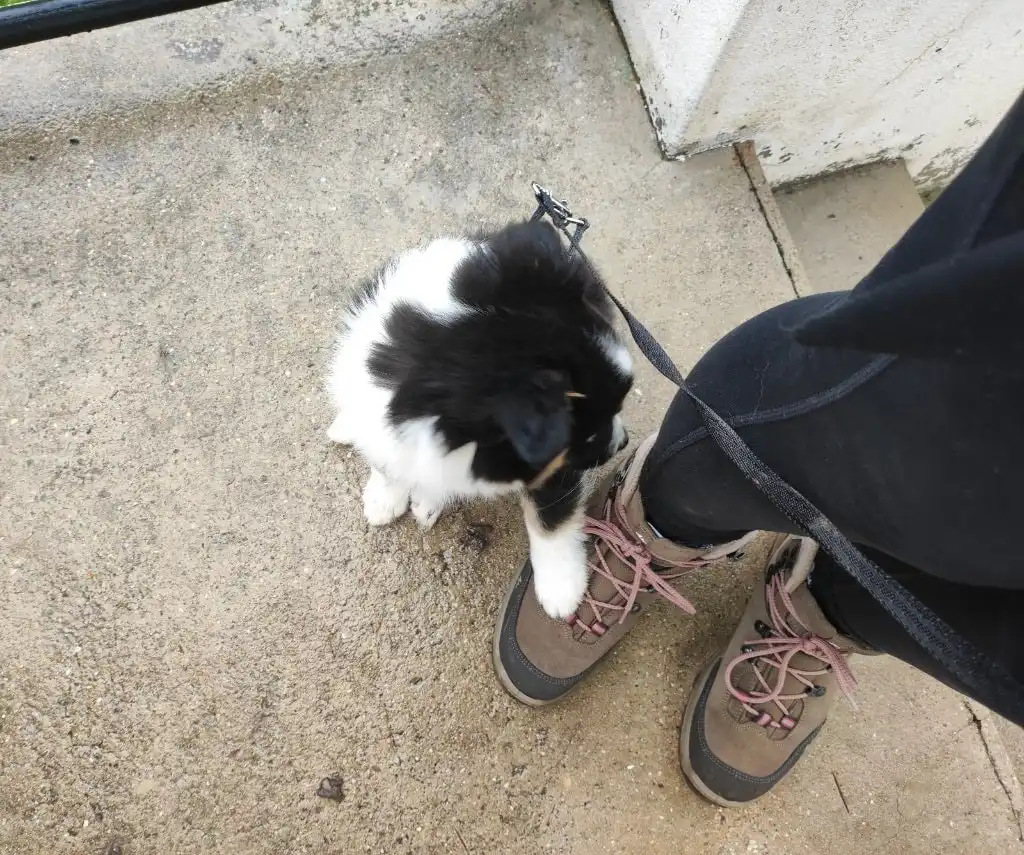 image-5