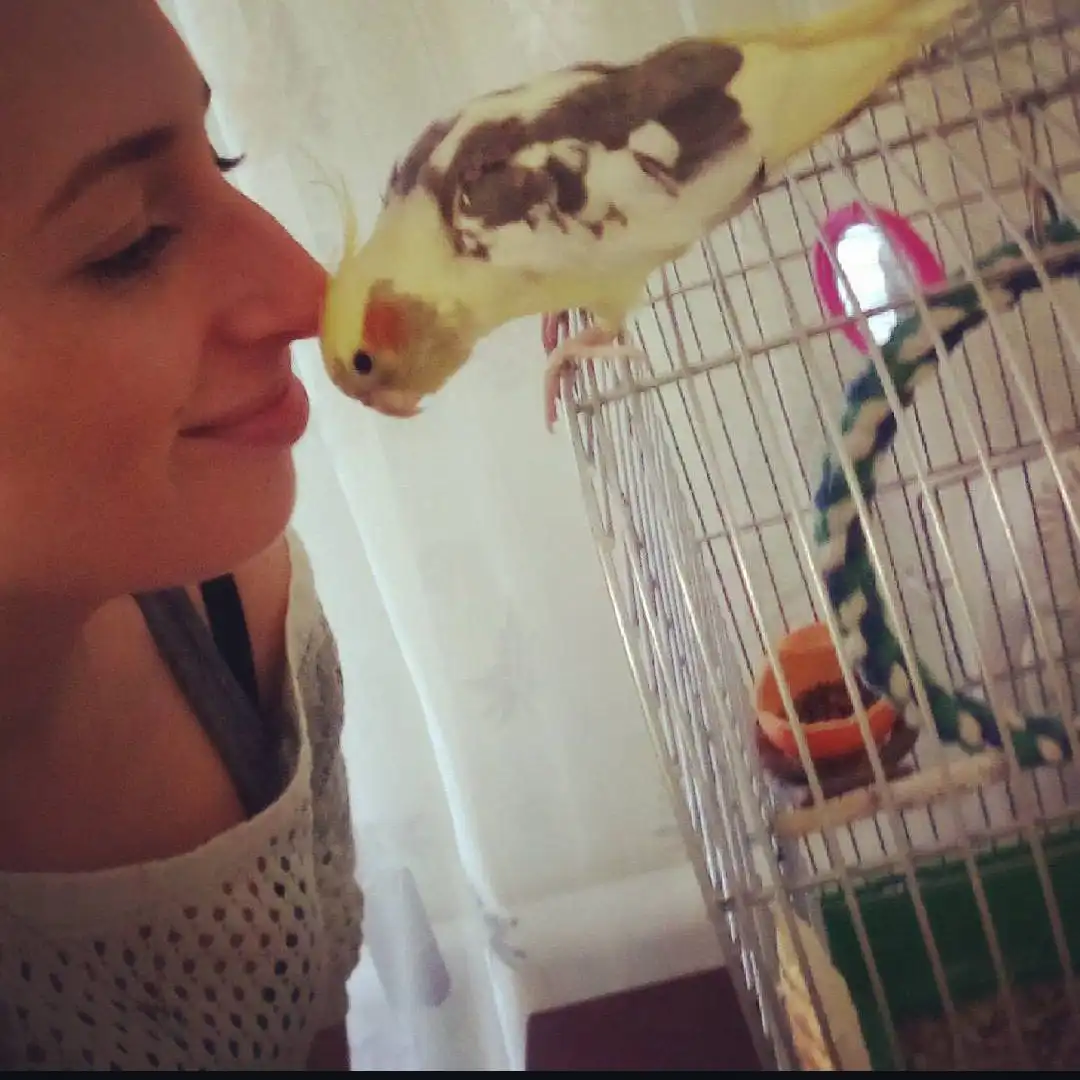 image-6