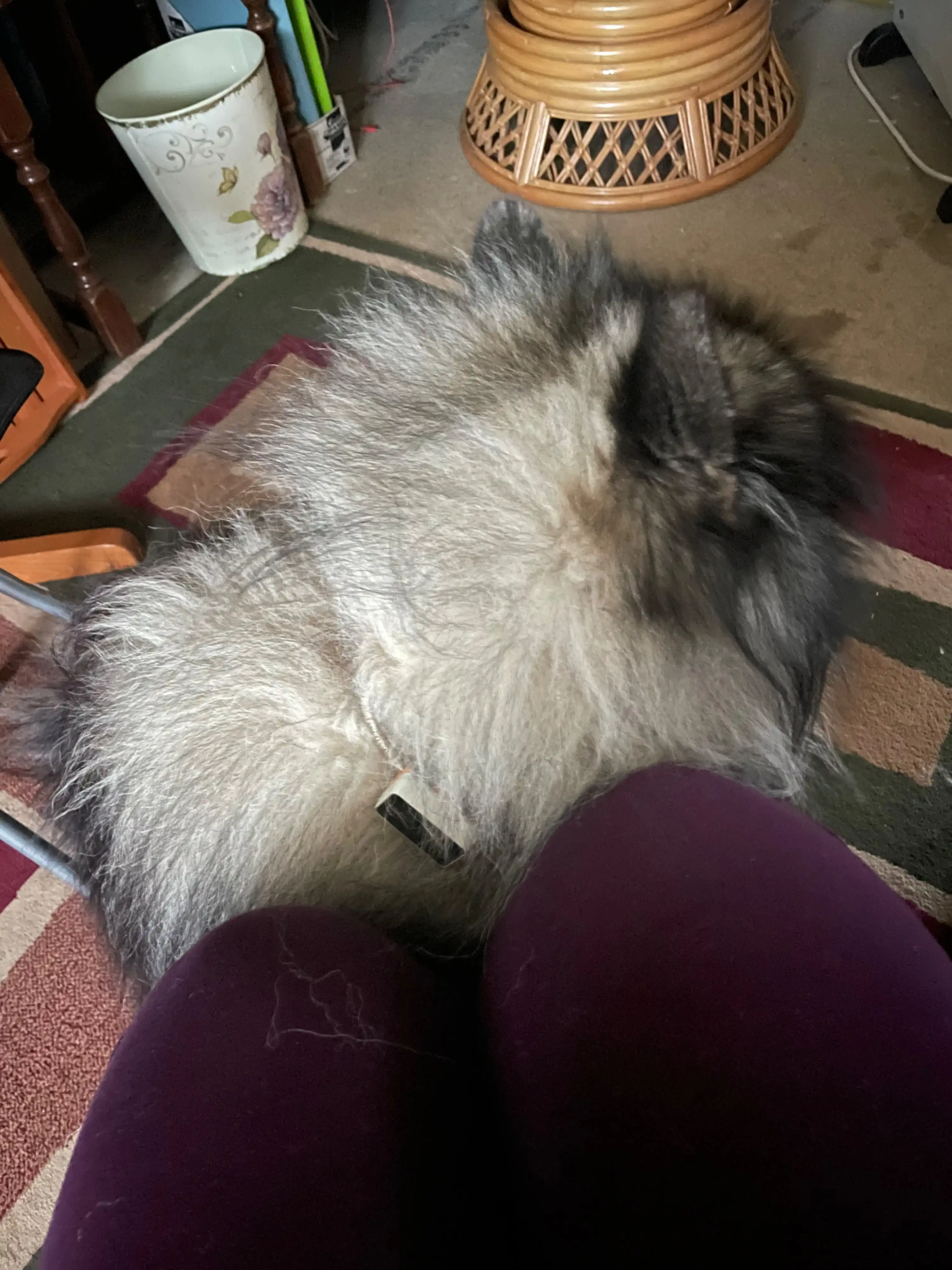 image-7