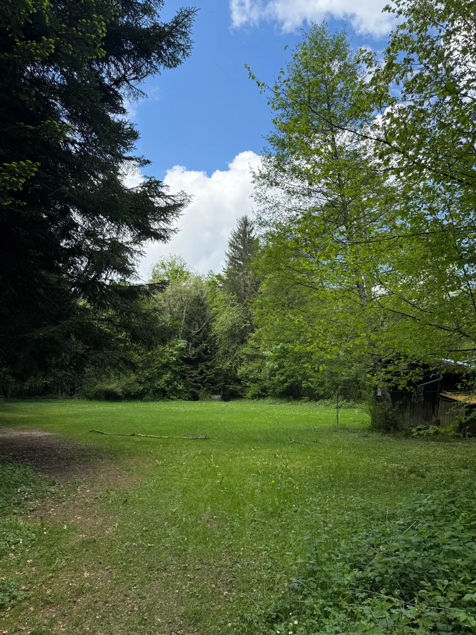 image-15