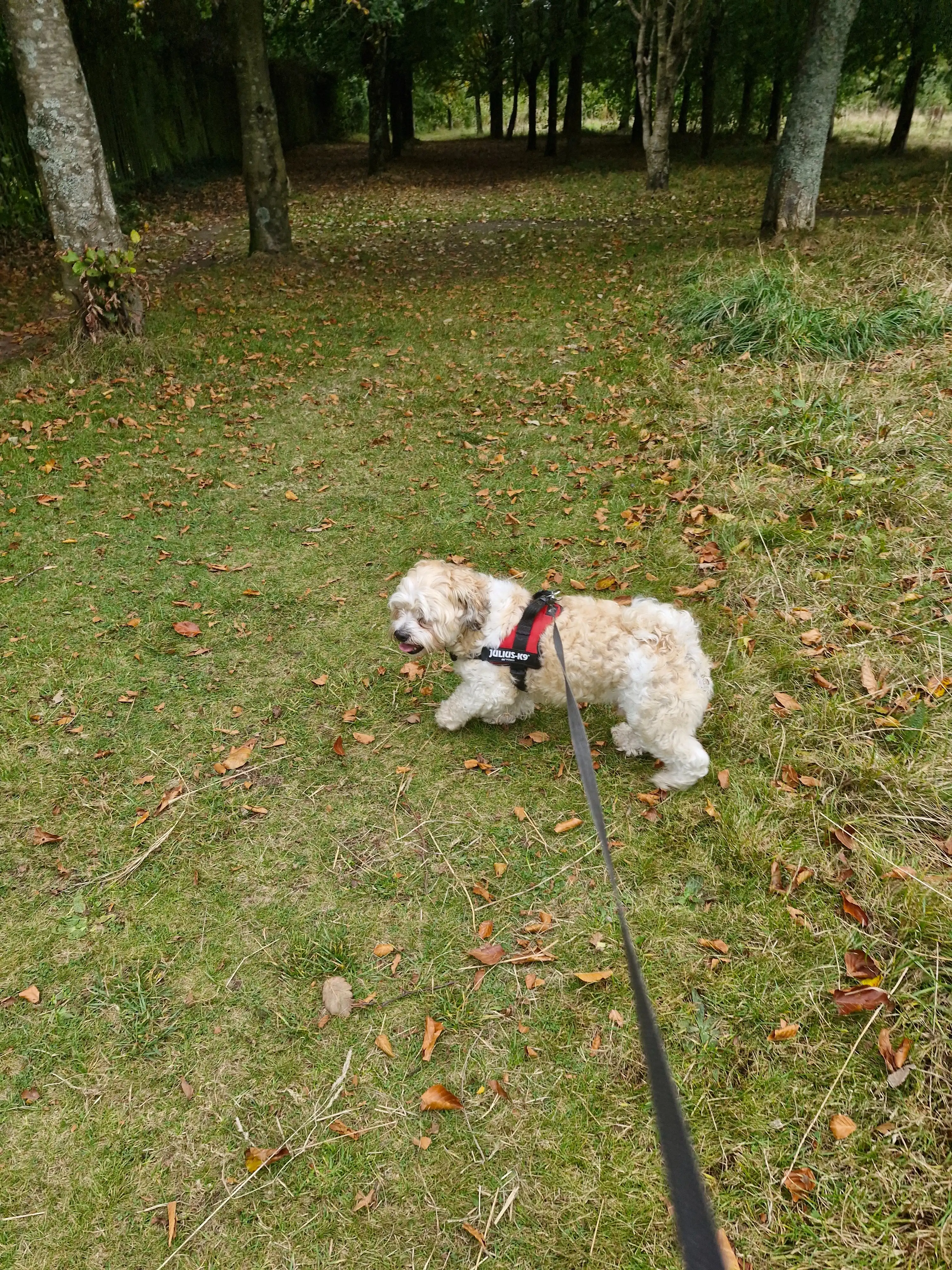image-6