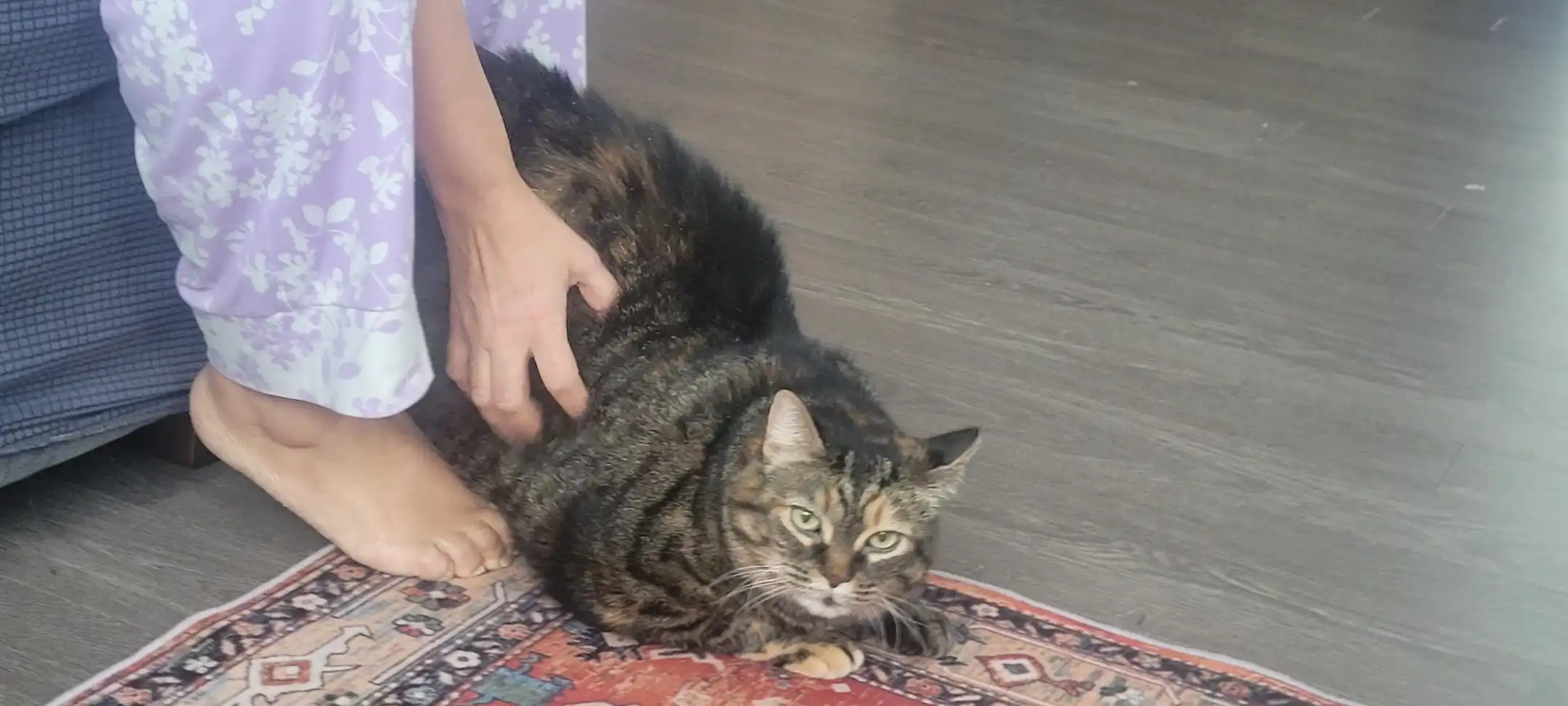 image-11