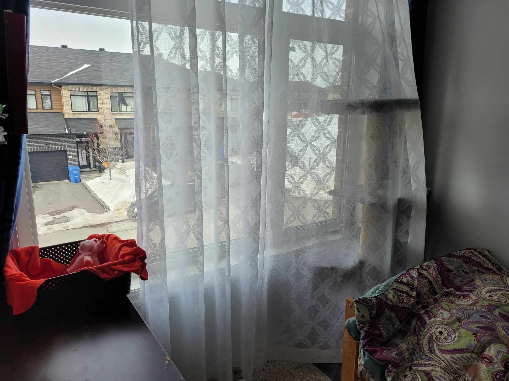 image-7