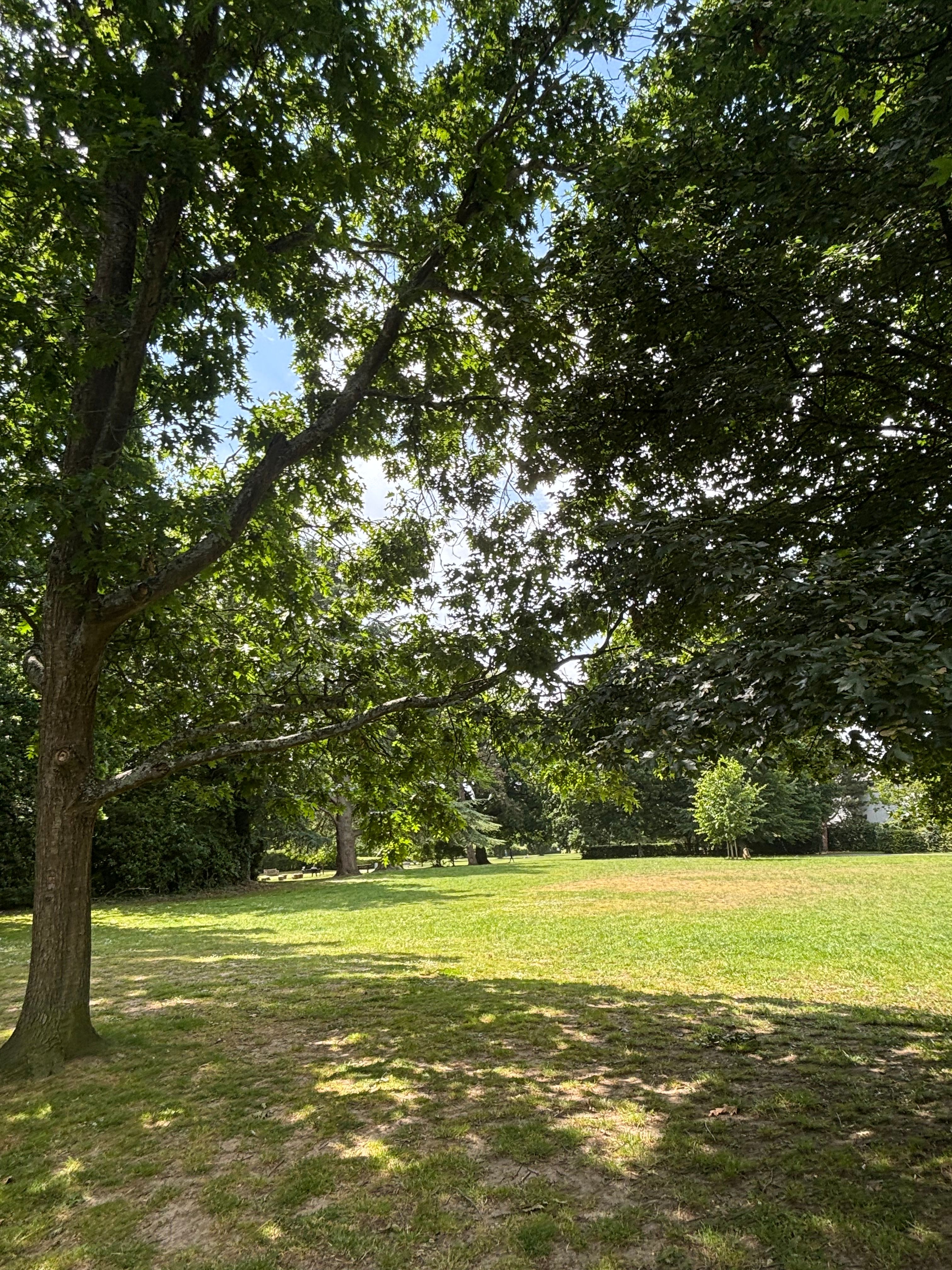 image-18