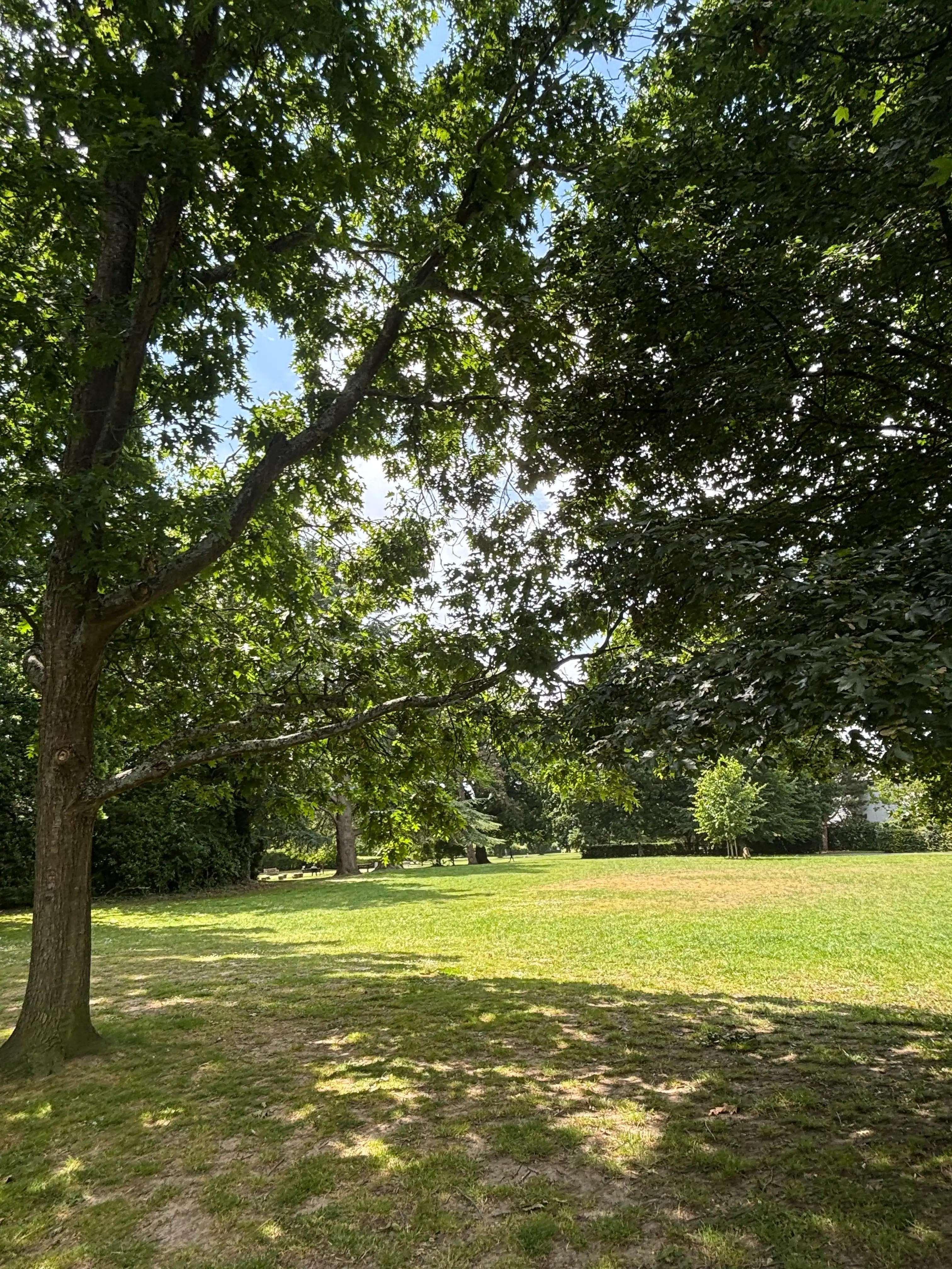 image-18