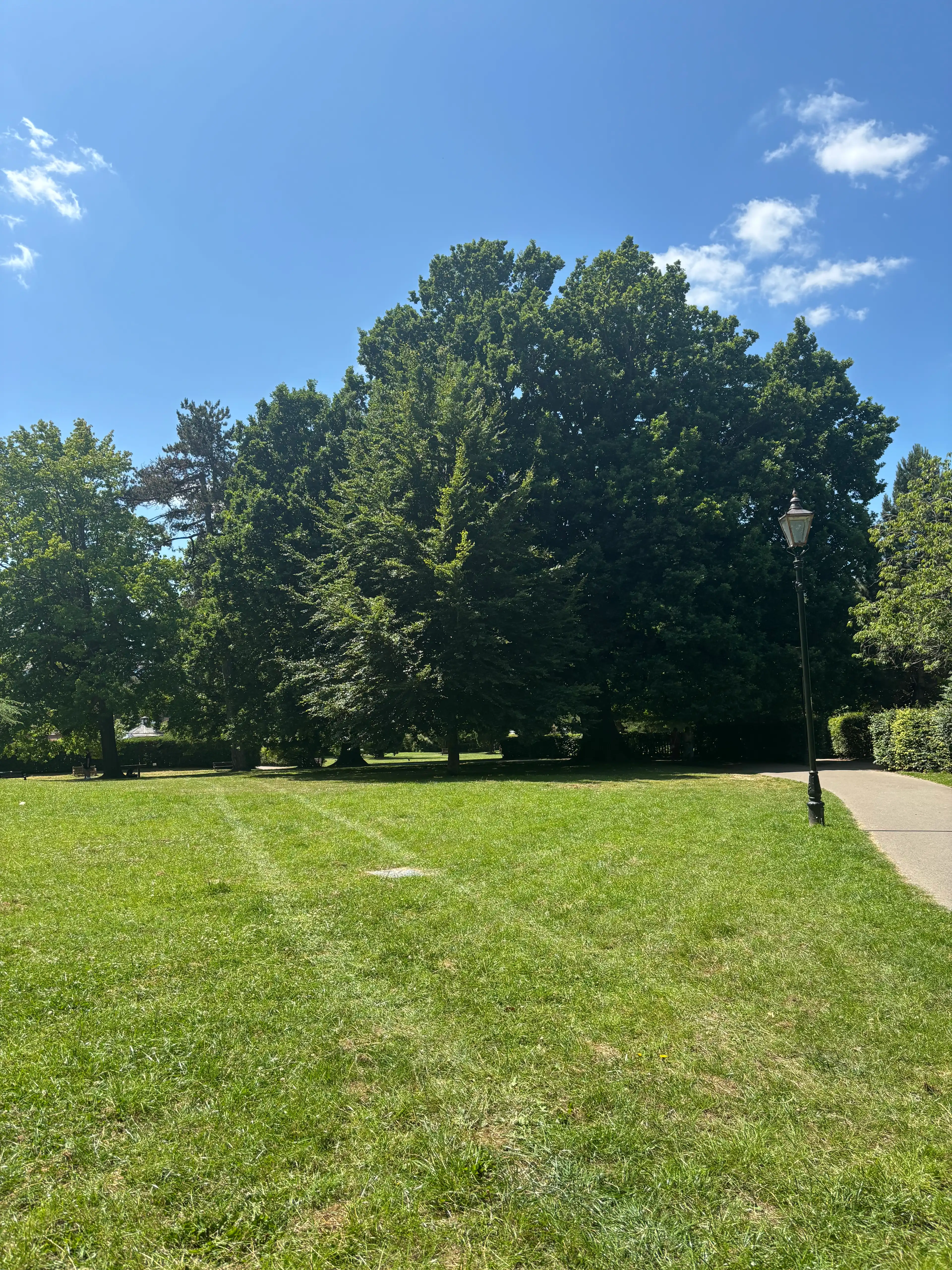 image-14