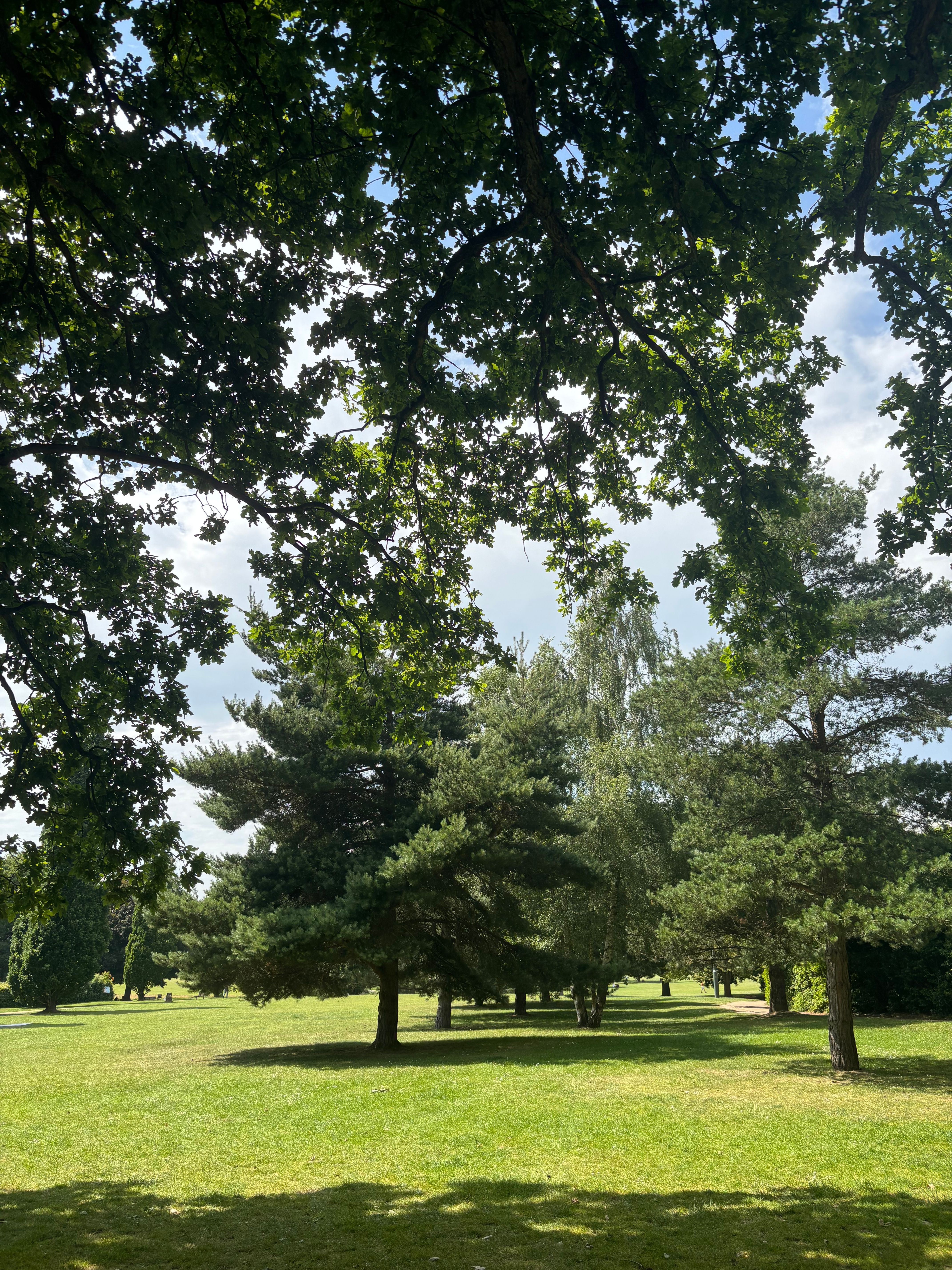 image-17