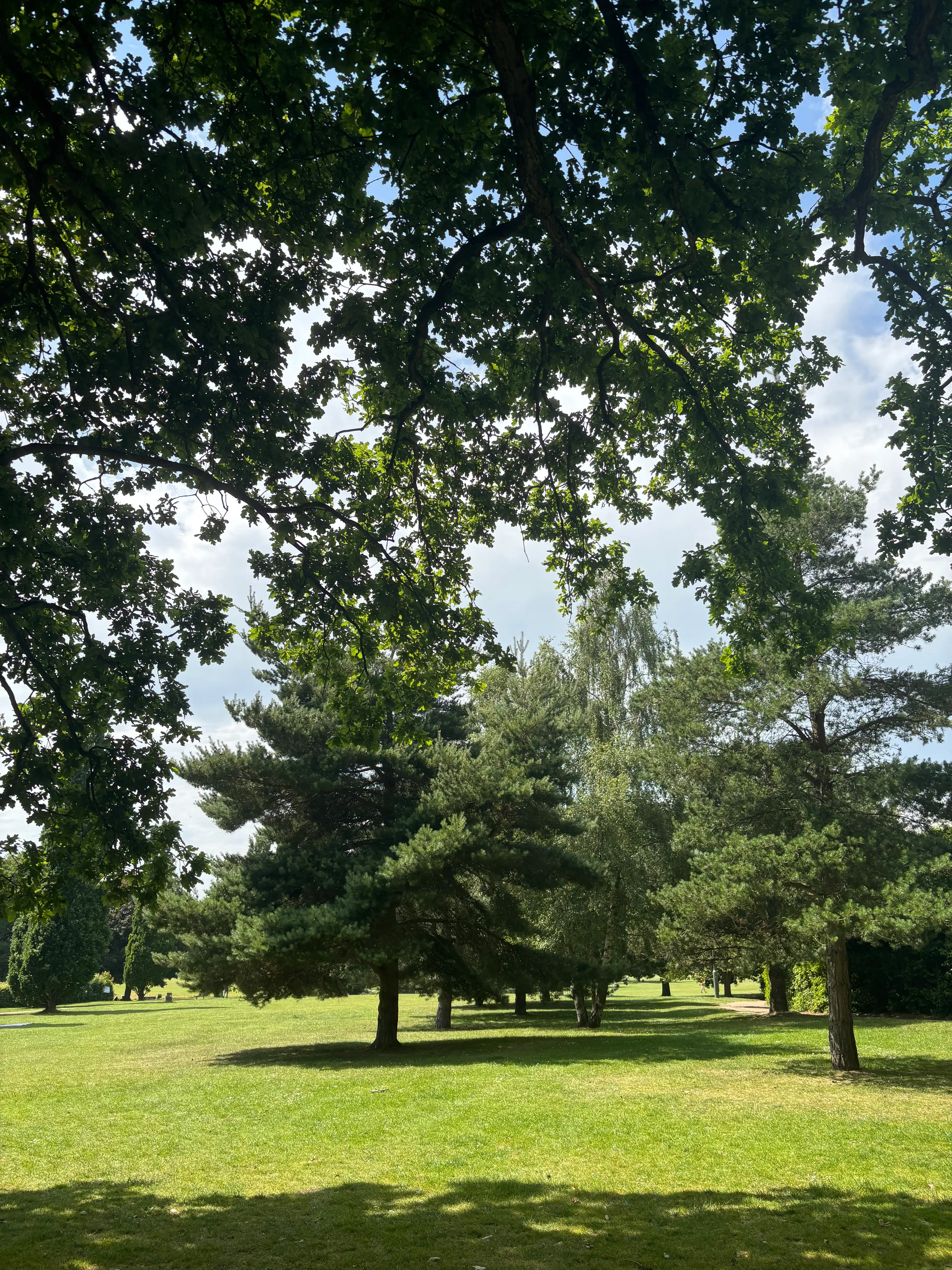 image-17