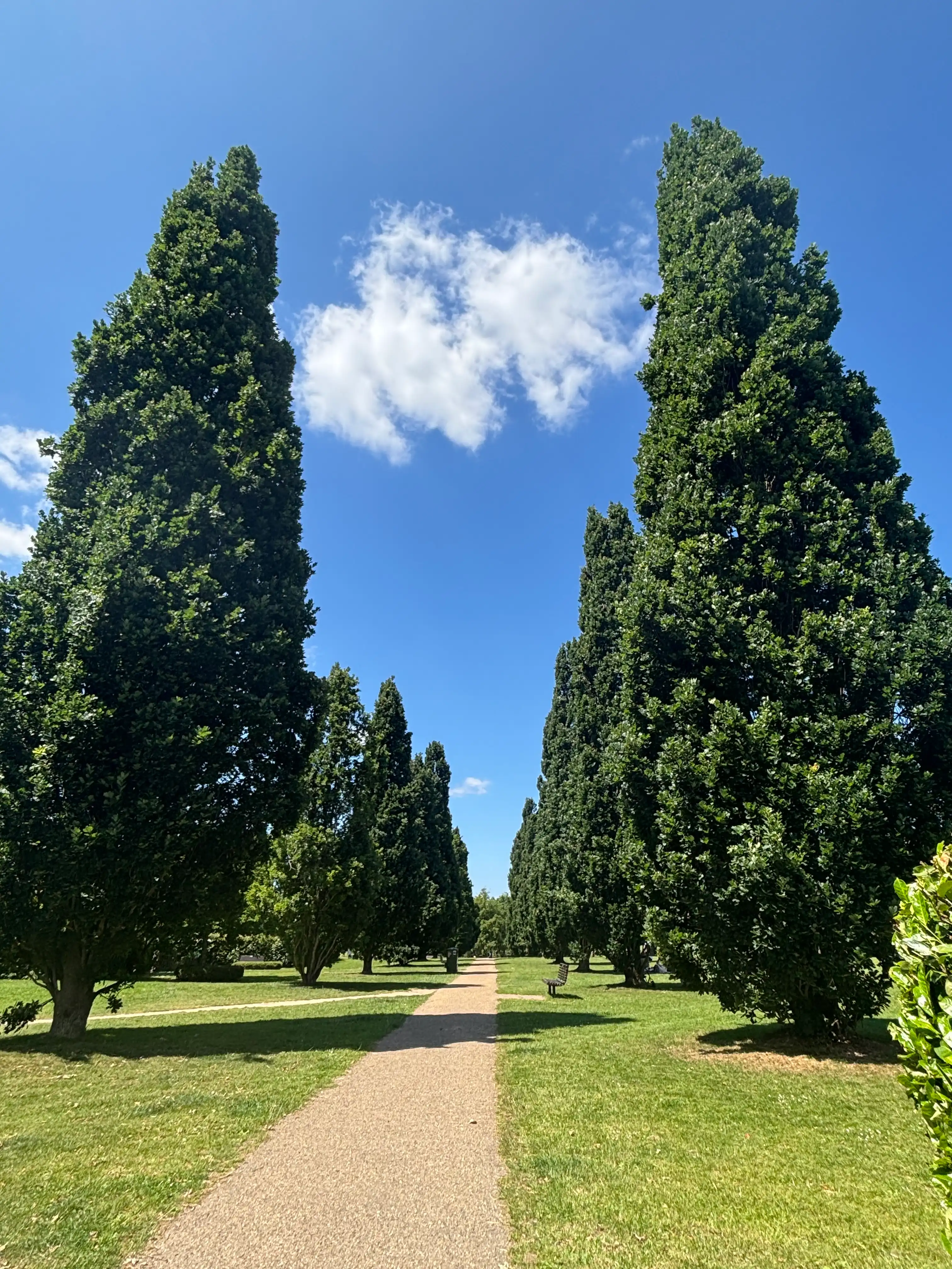 image-16