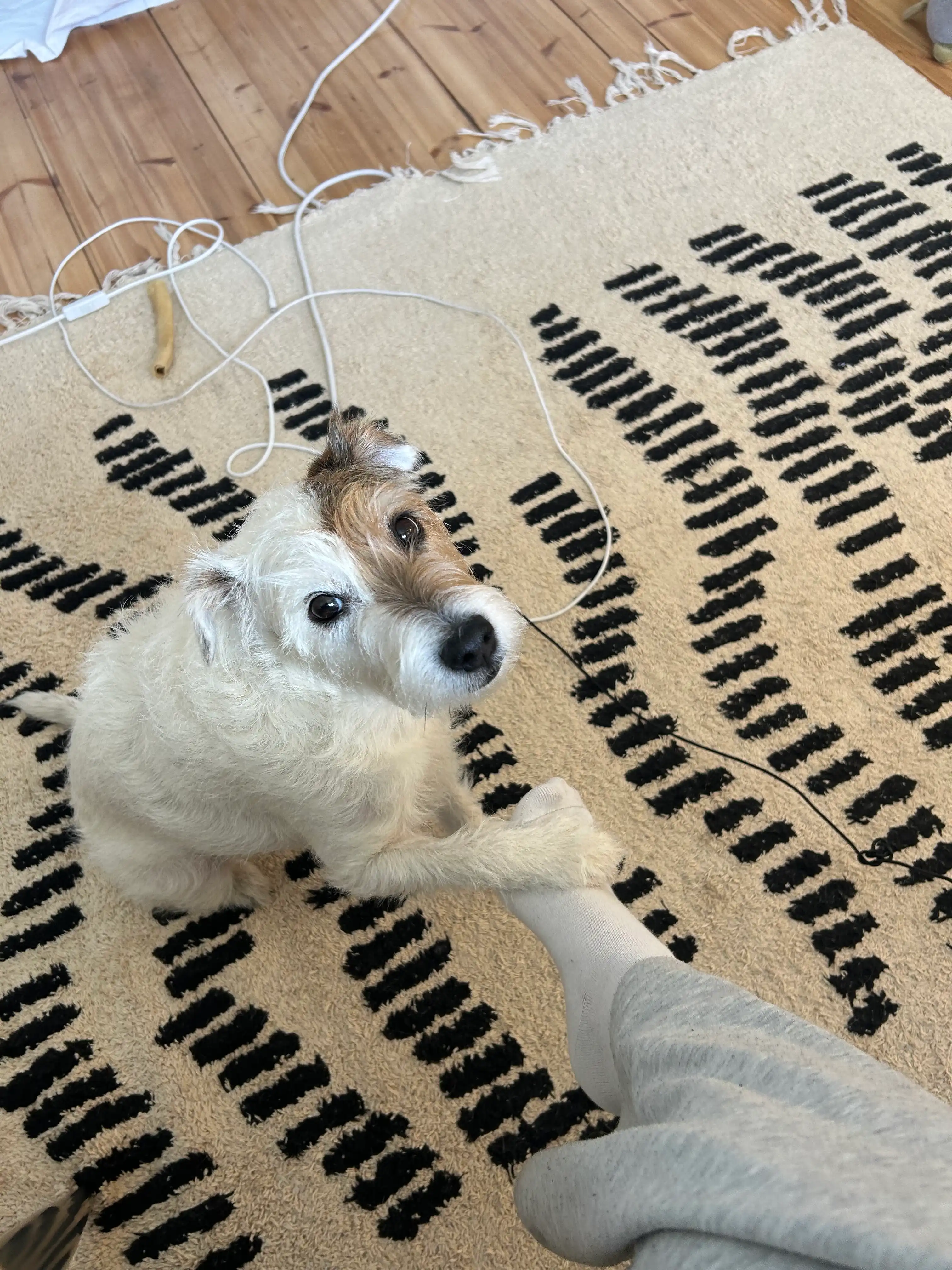 image-15