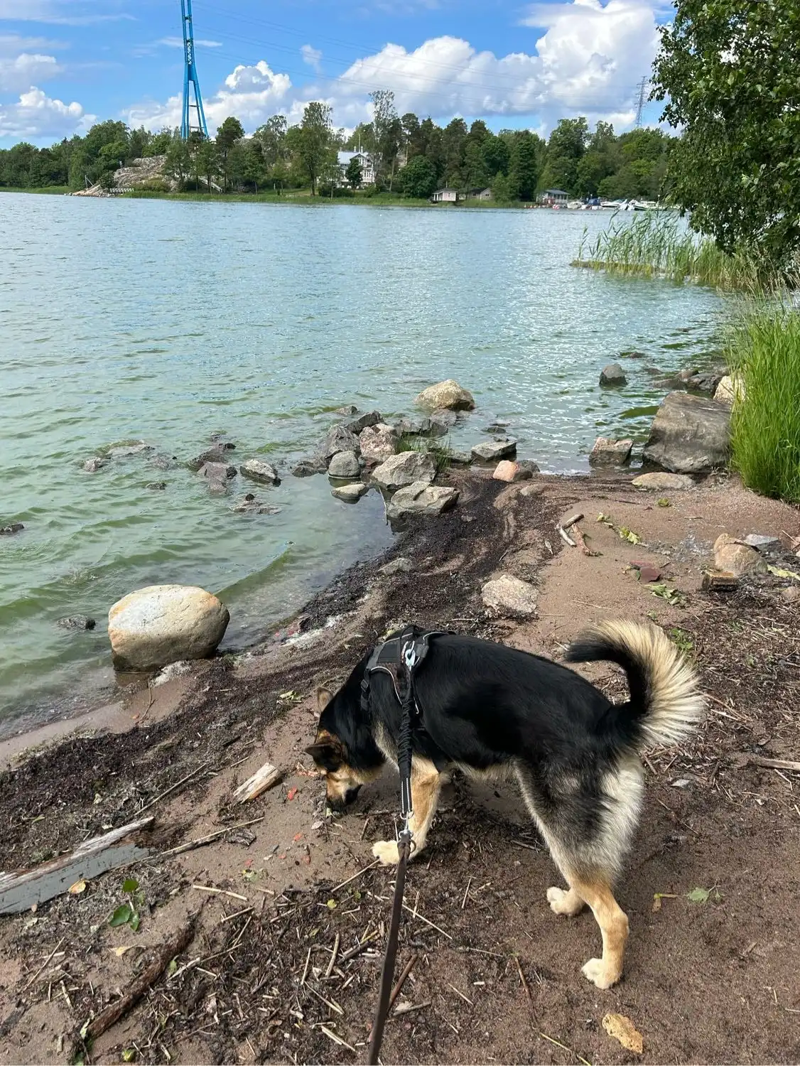 image-13
