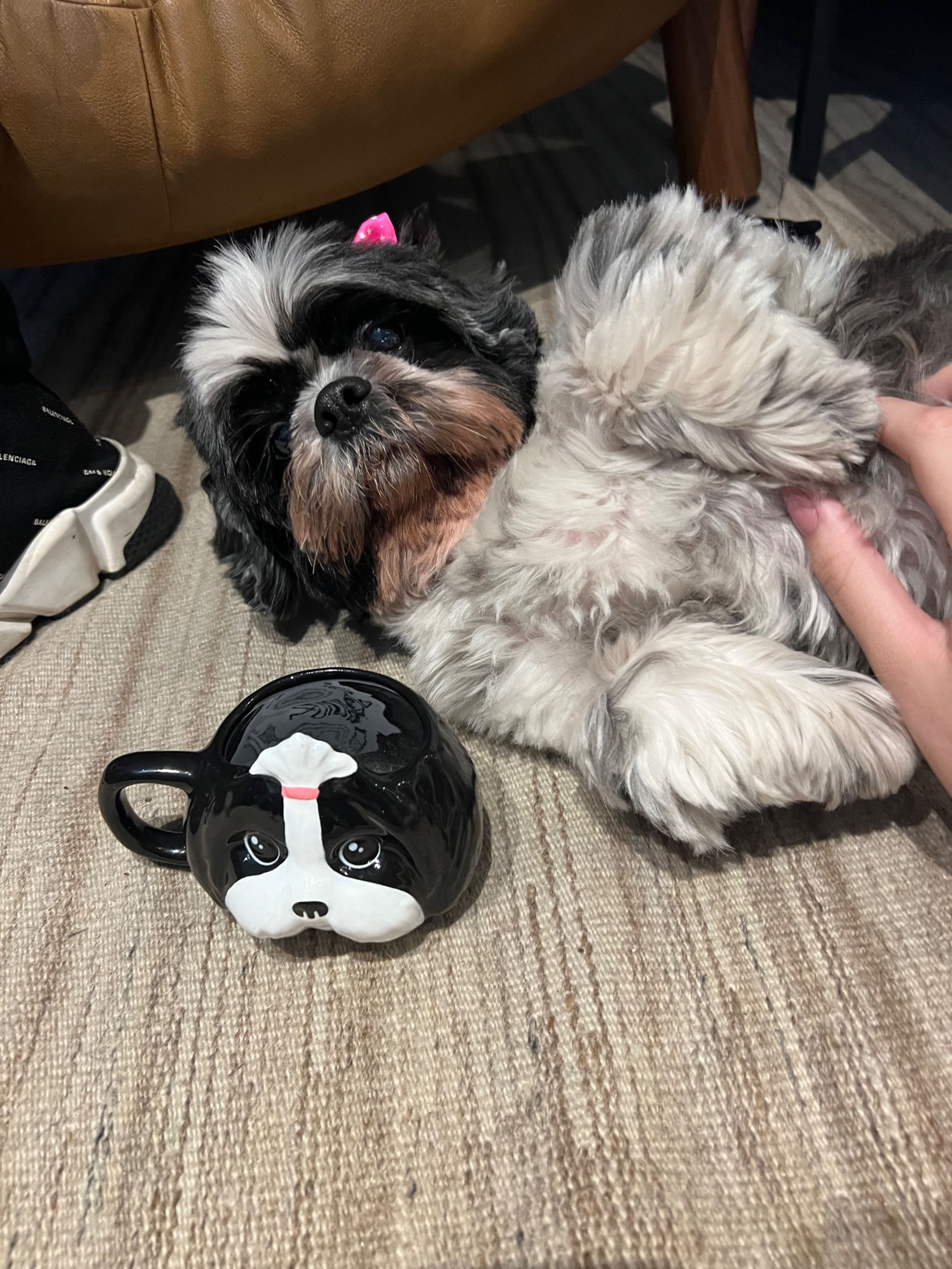 image-12