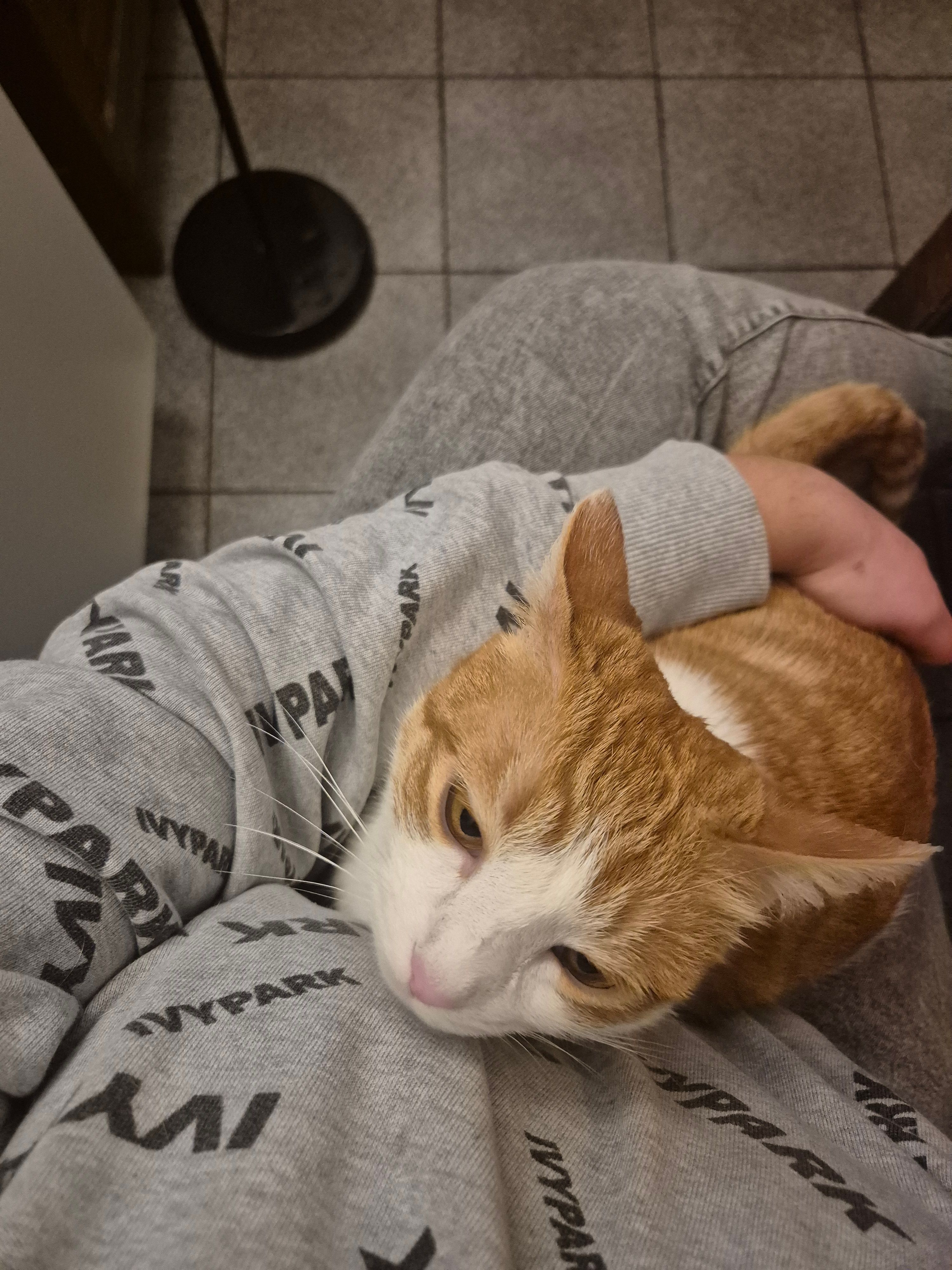 image-7