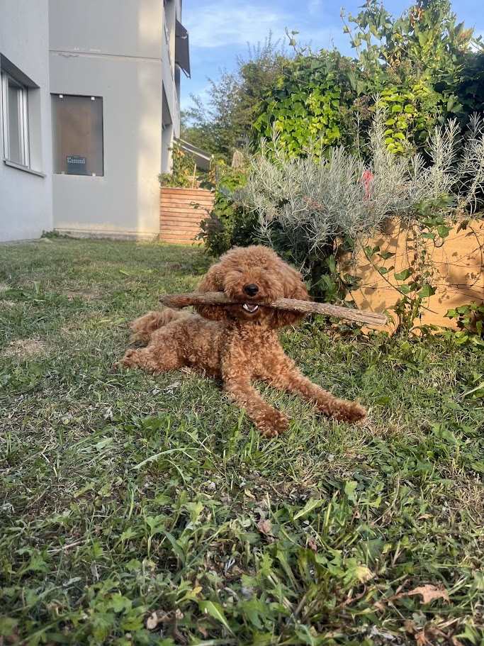 image-6