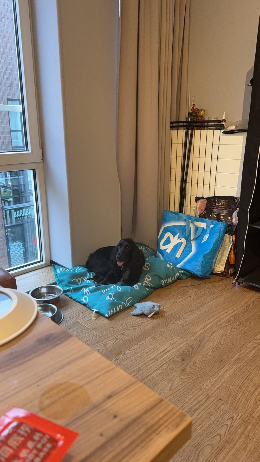image-16