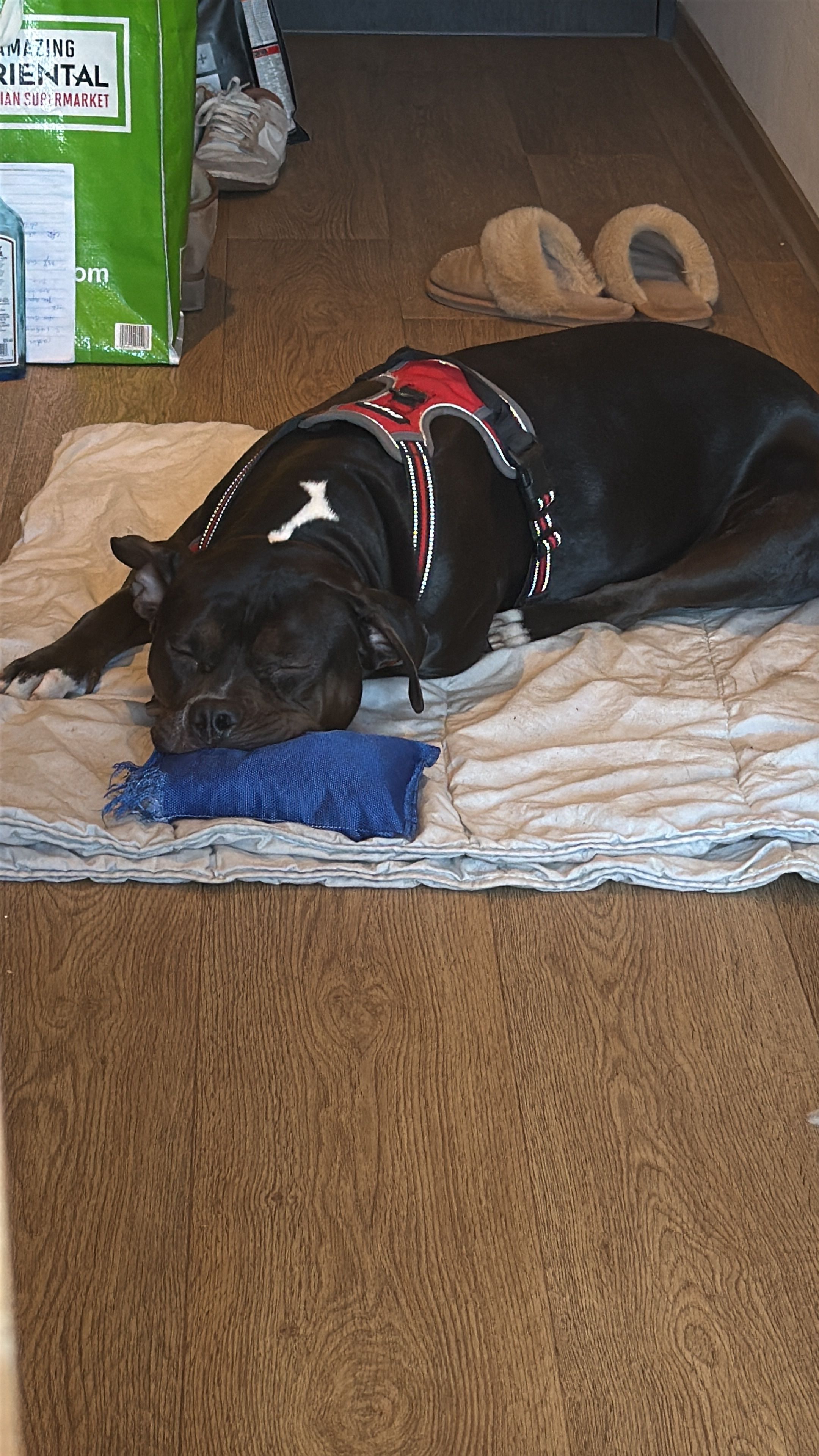image-8