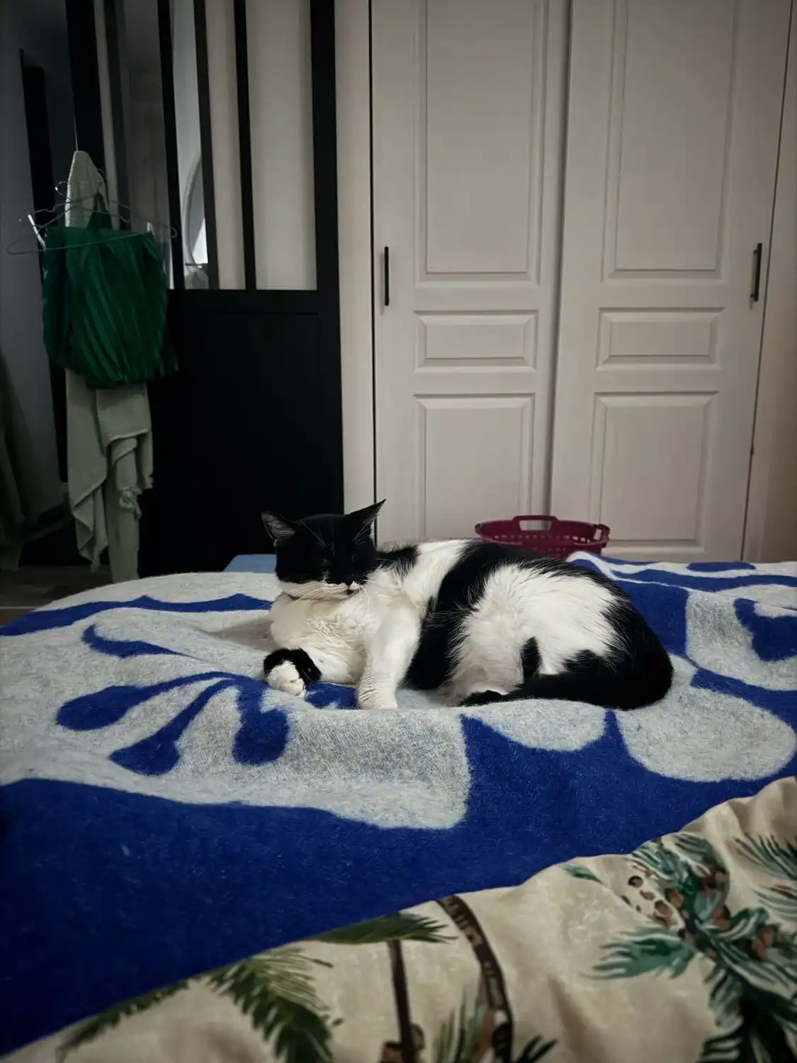 image-7
