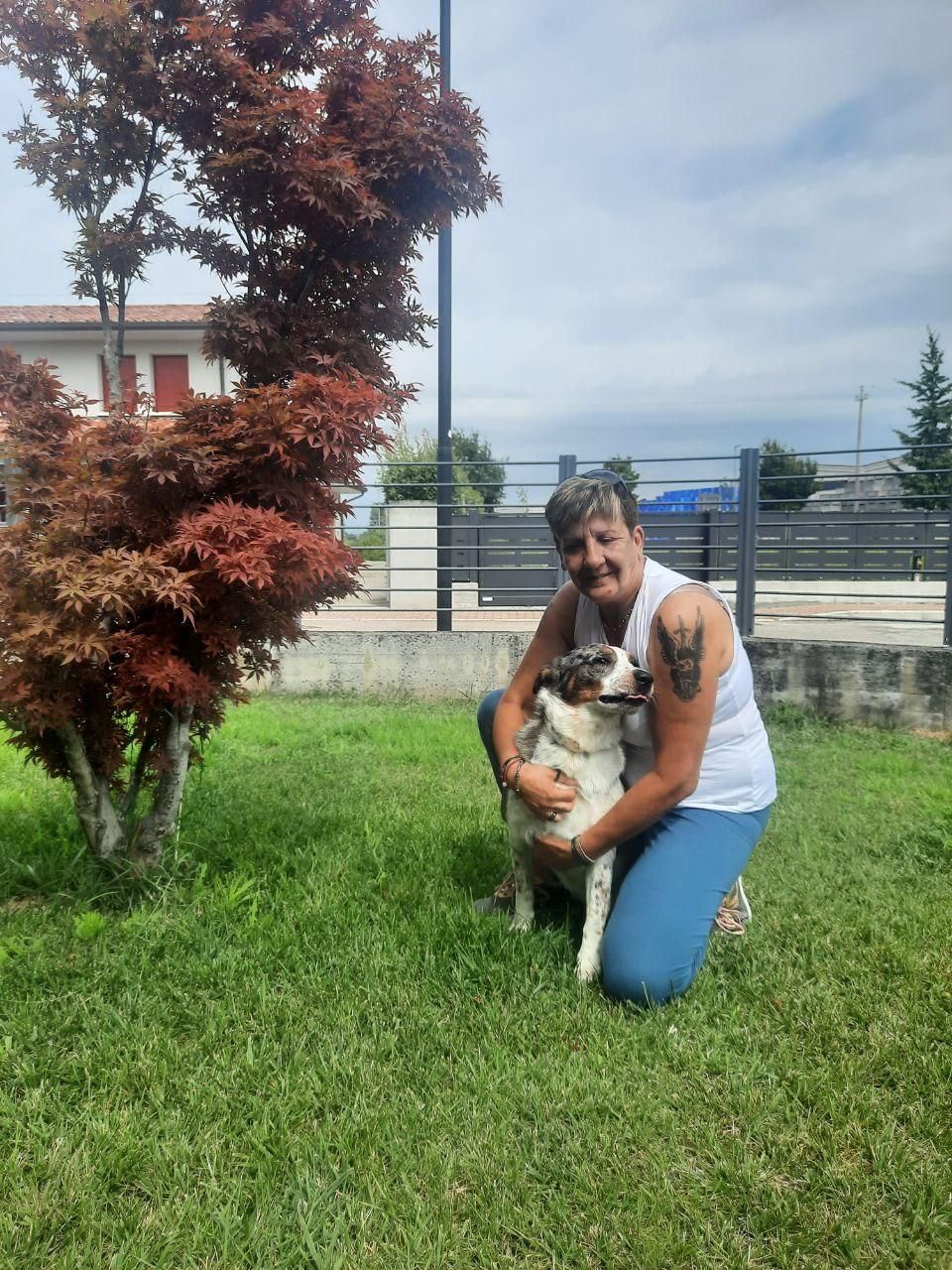 image-8