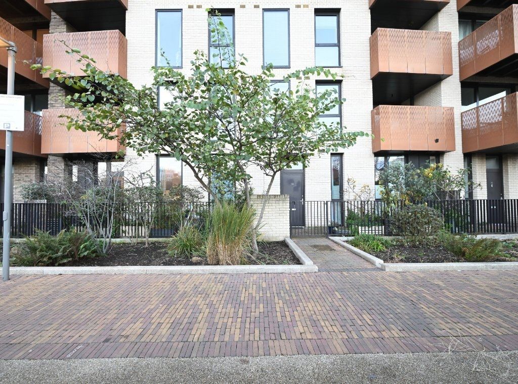 image-5