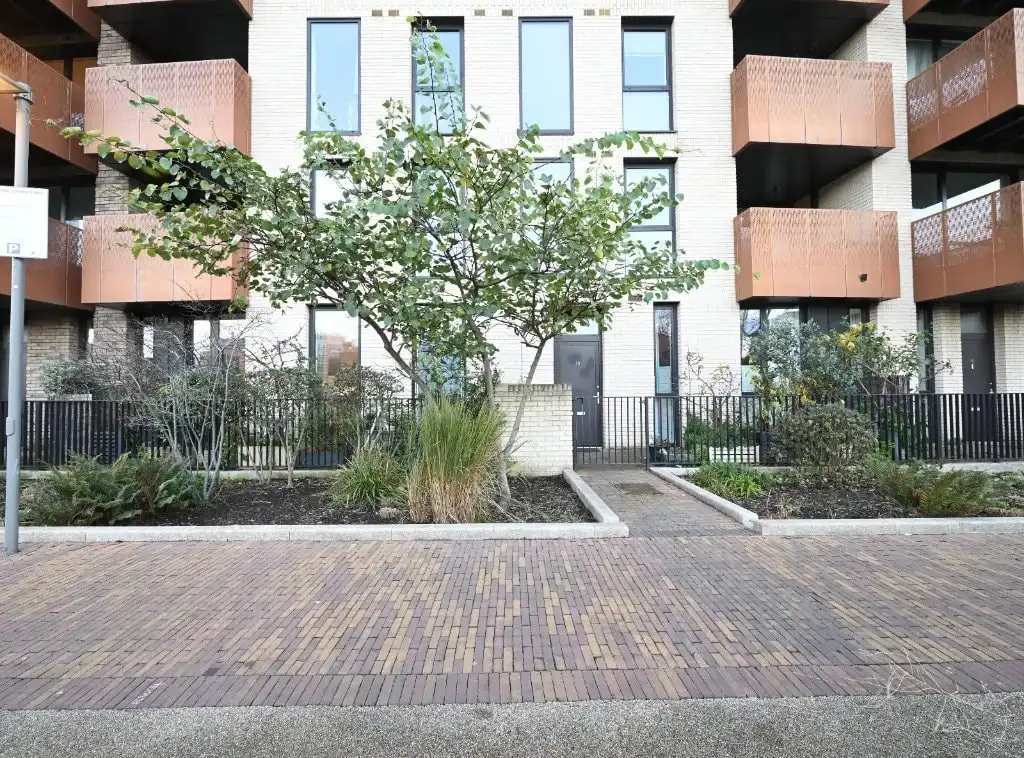 image-5