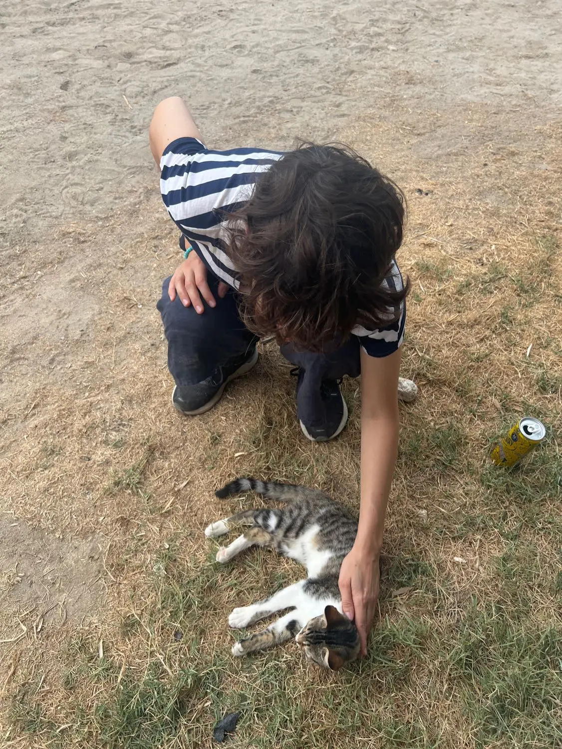 image-4