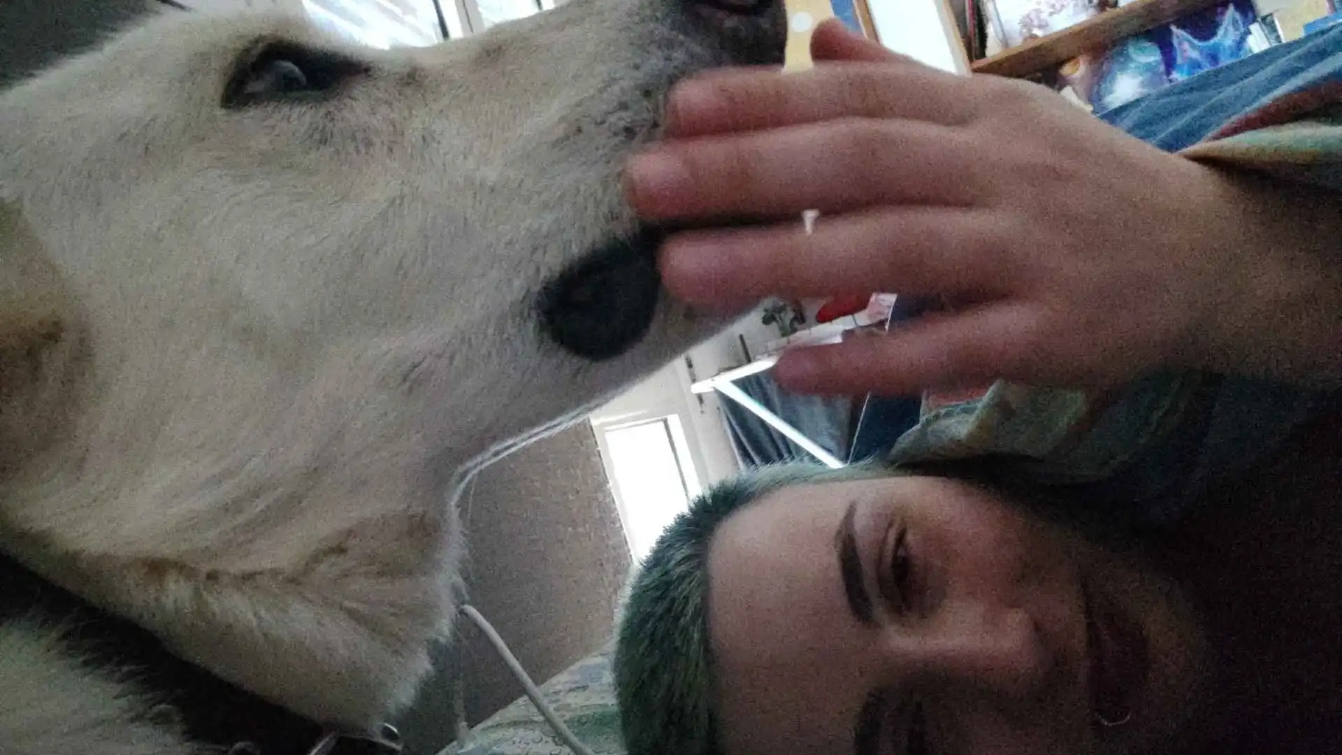 image-8